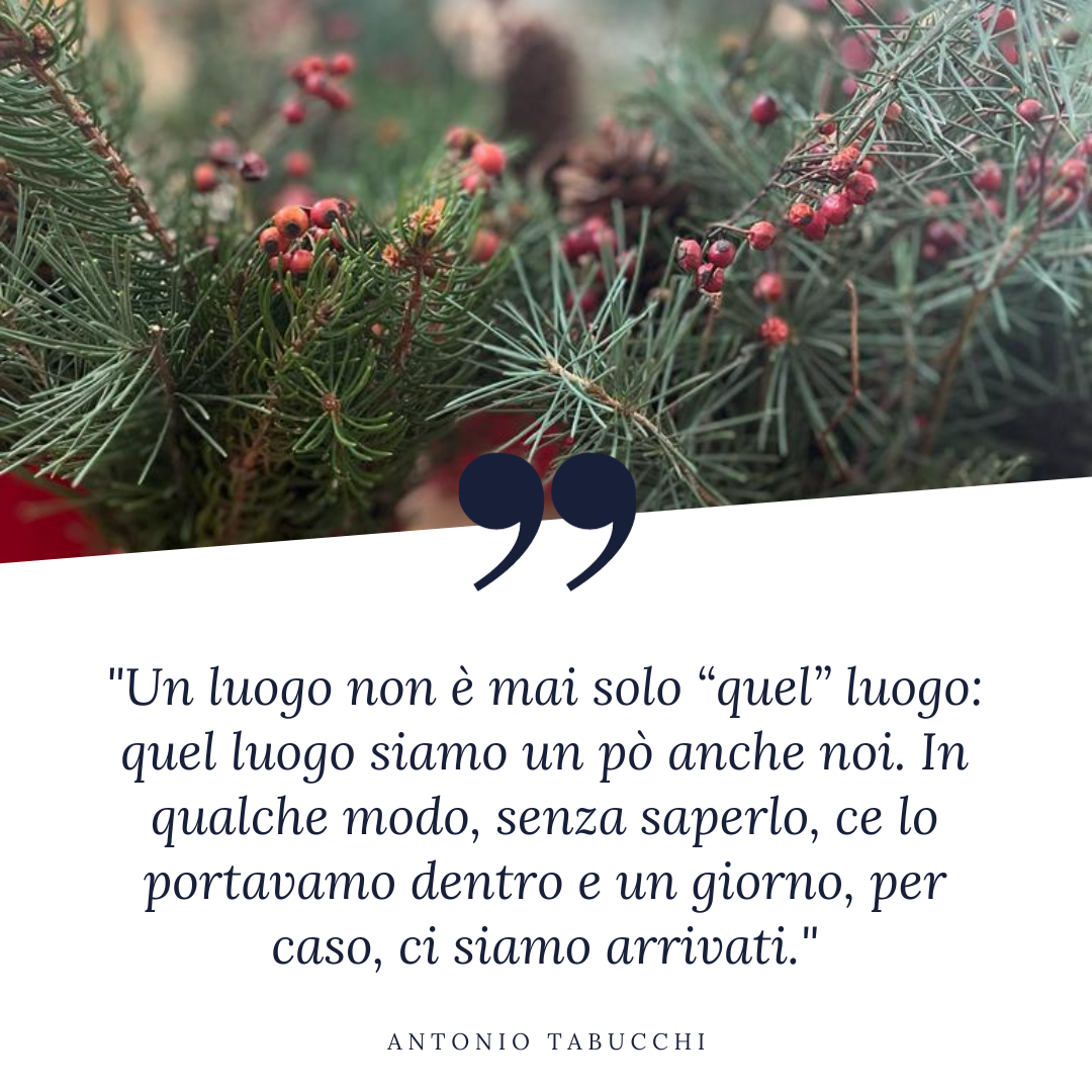 Tra Petali e Sogni: Il Racconto Fiorito del Nostro 2023