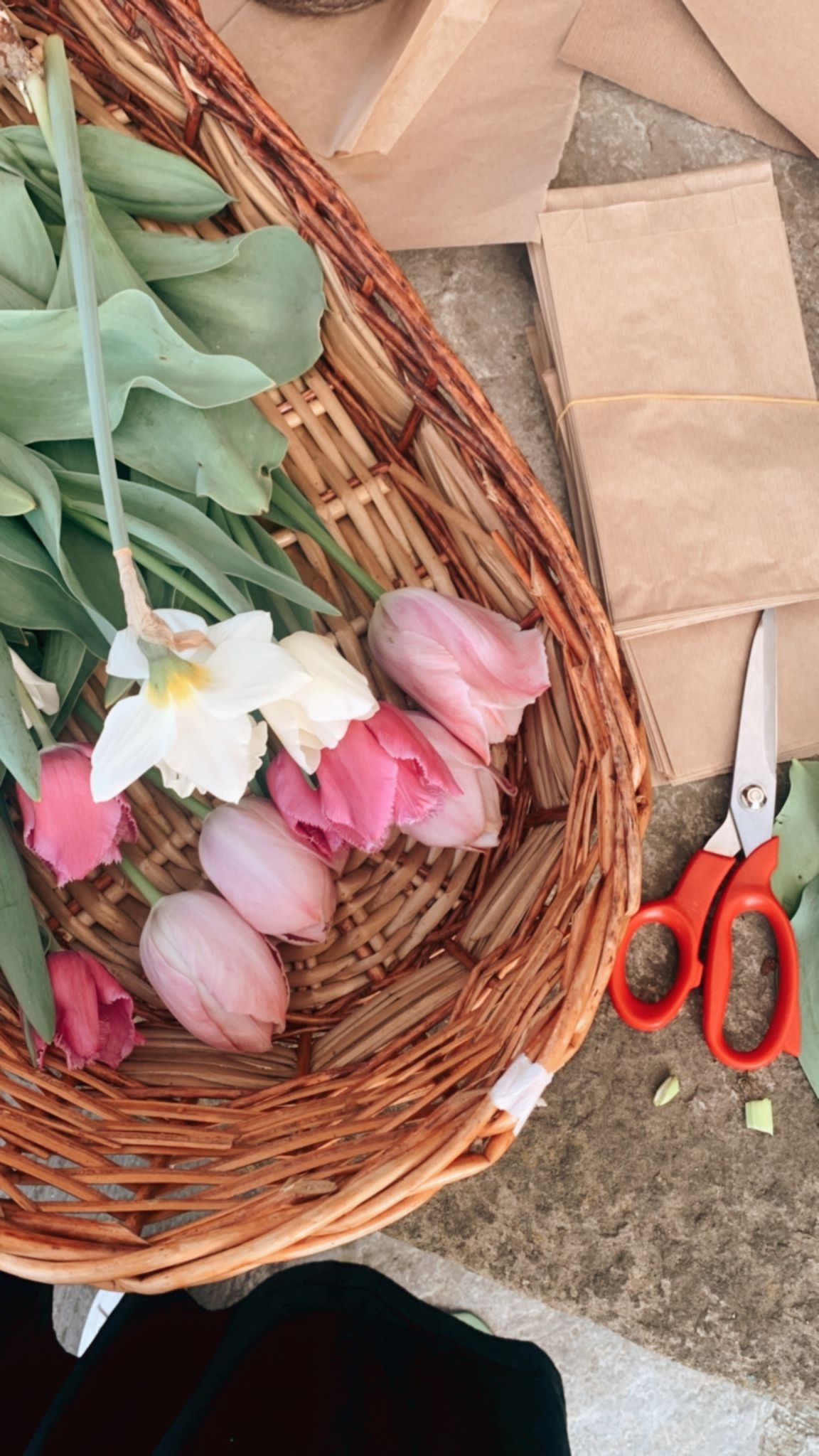 Guida ai bulbi primaverili: colori e varietà di tulipani da scoprire