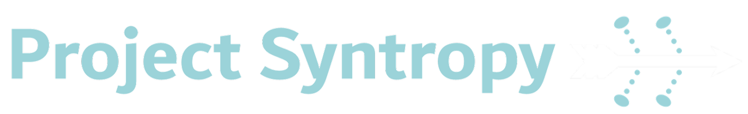 Project Syntropy