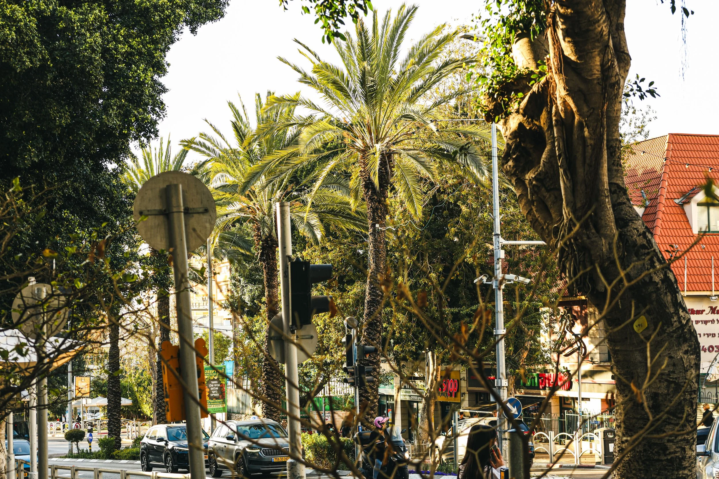 raanana-ahuza street-nature photography.jpg