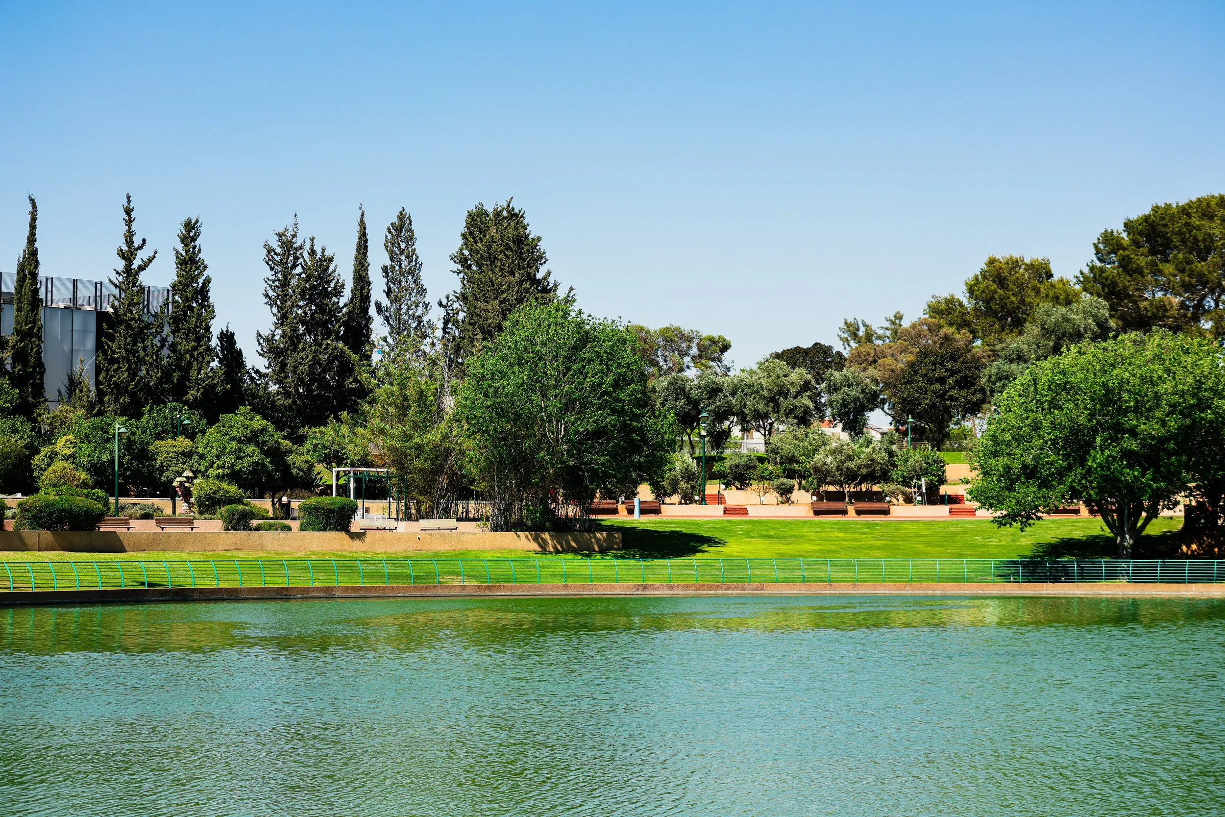 Green Trees and Water.jpg