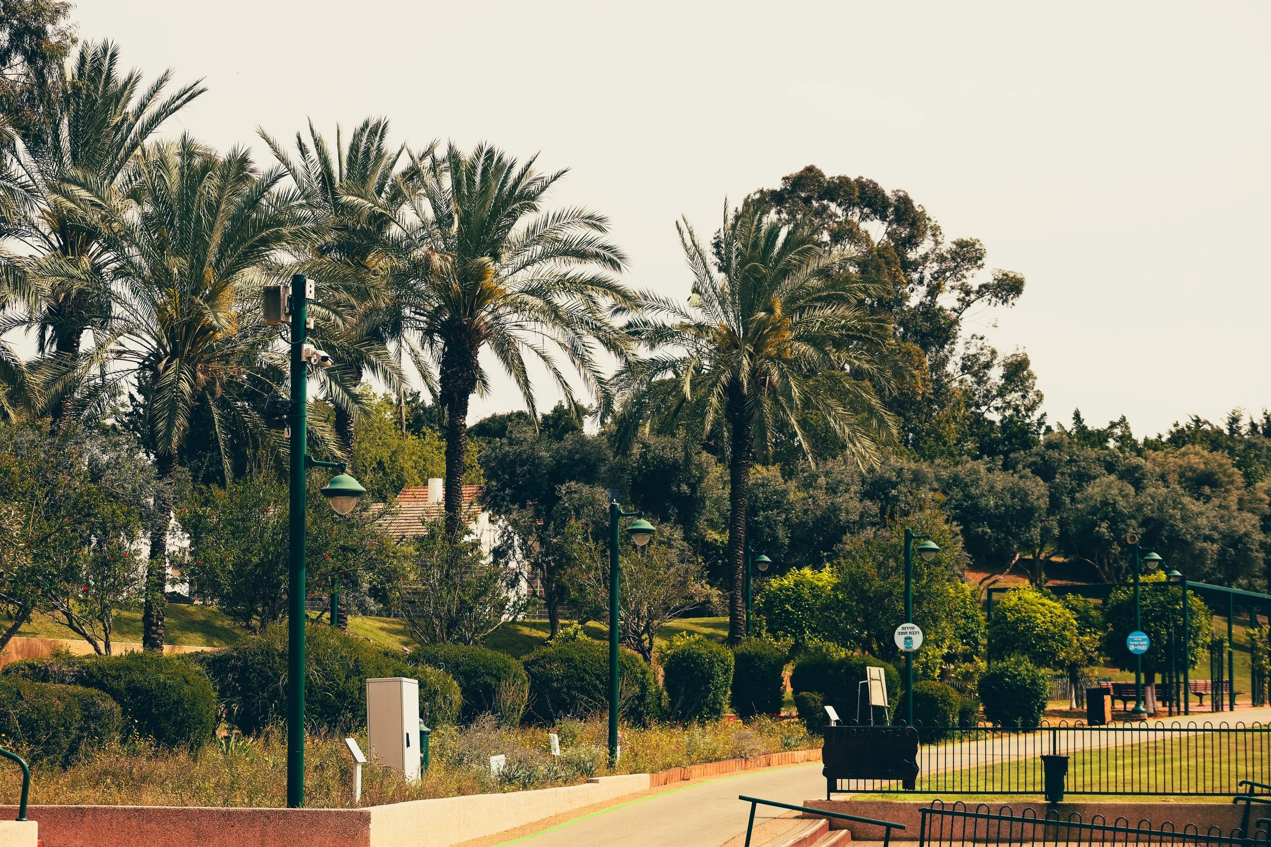 Nature Photo.jpg