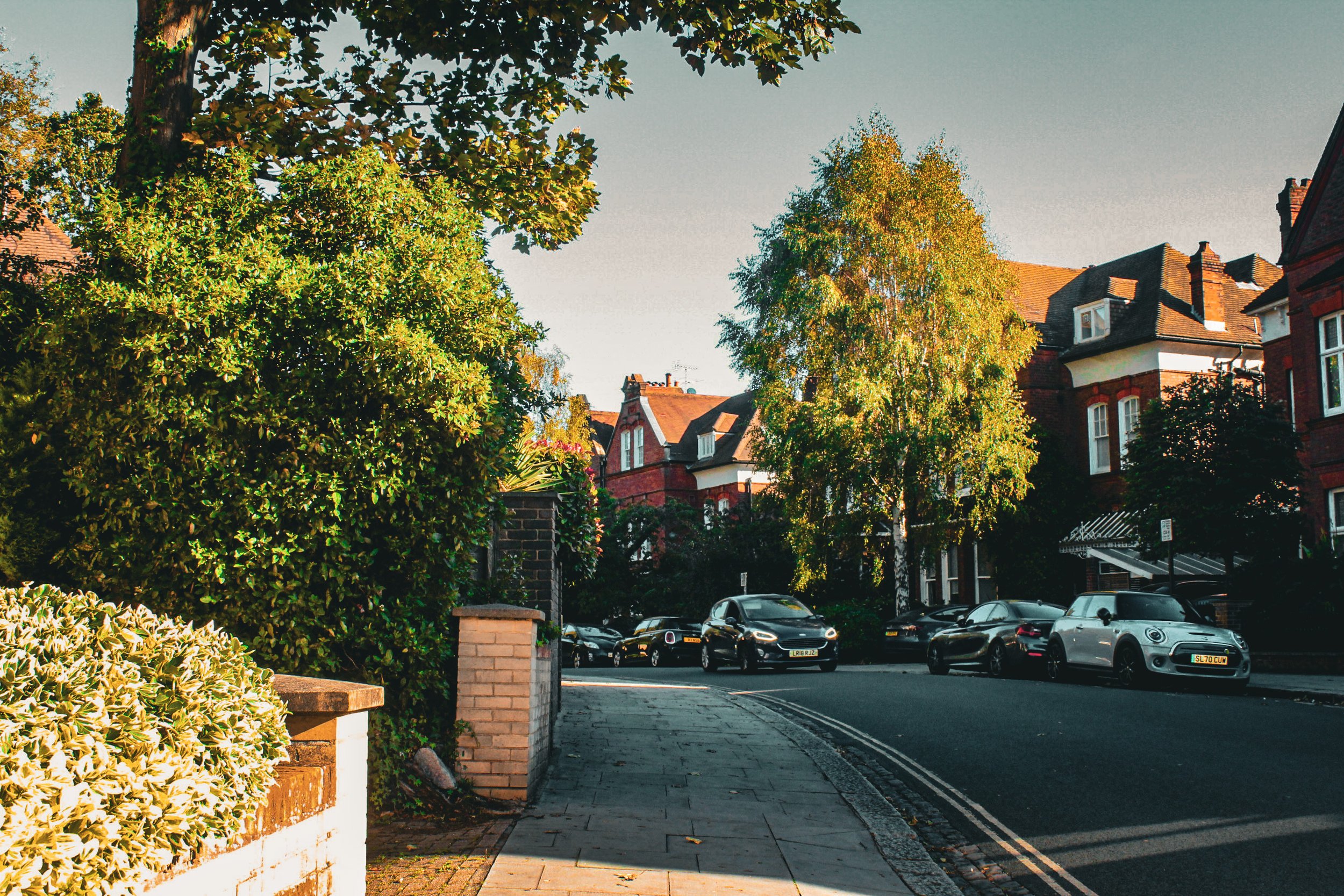 London Nature Photography