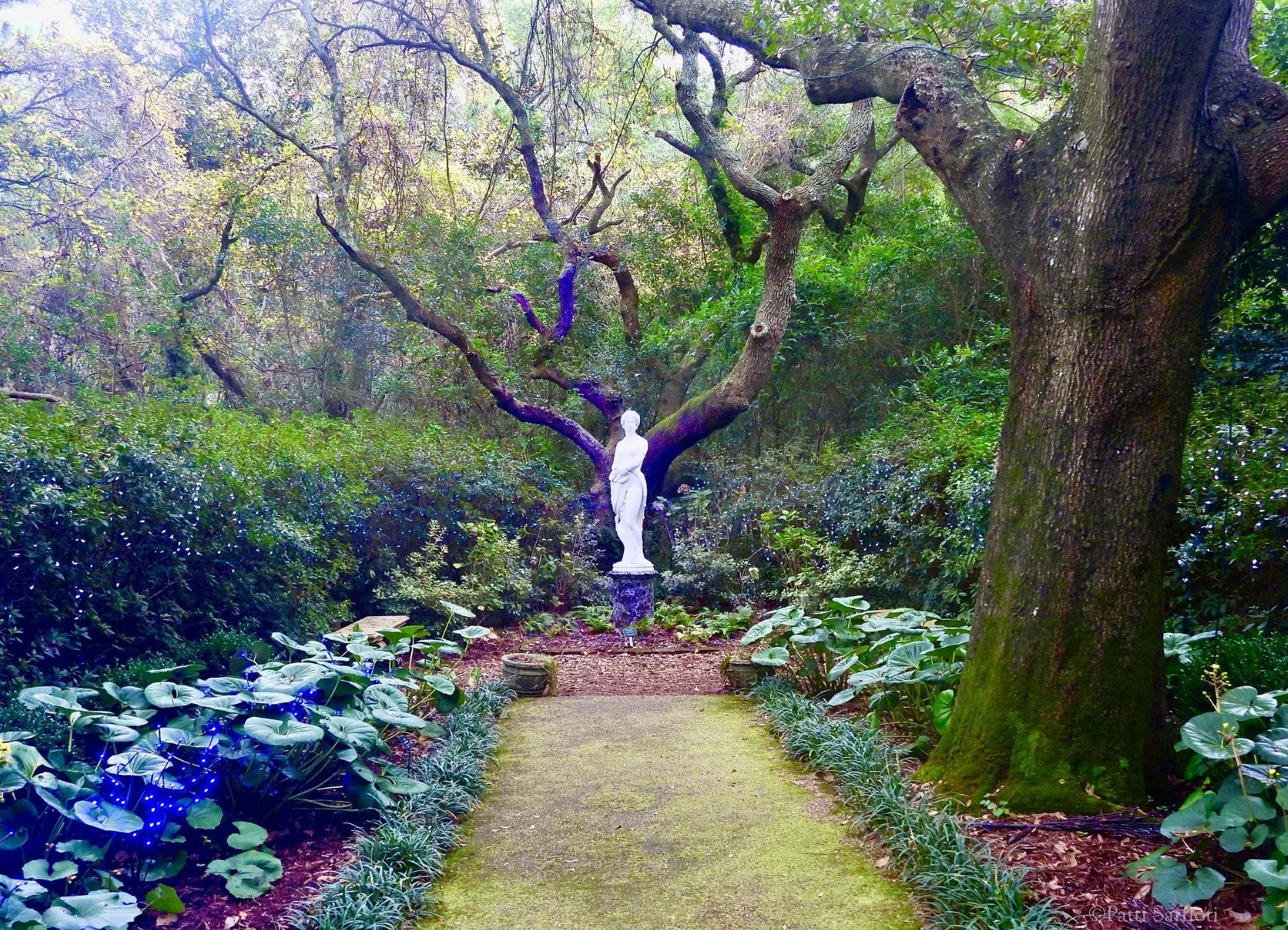 Elizabethian Gardens signed.JPG