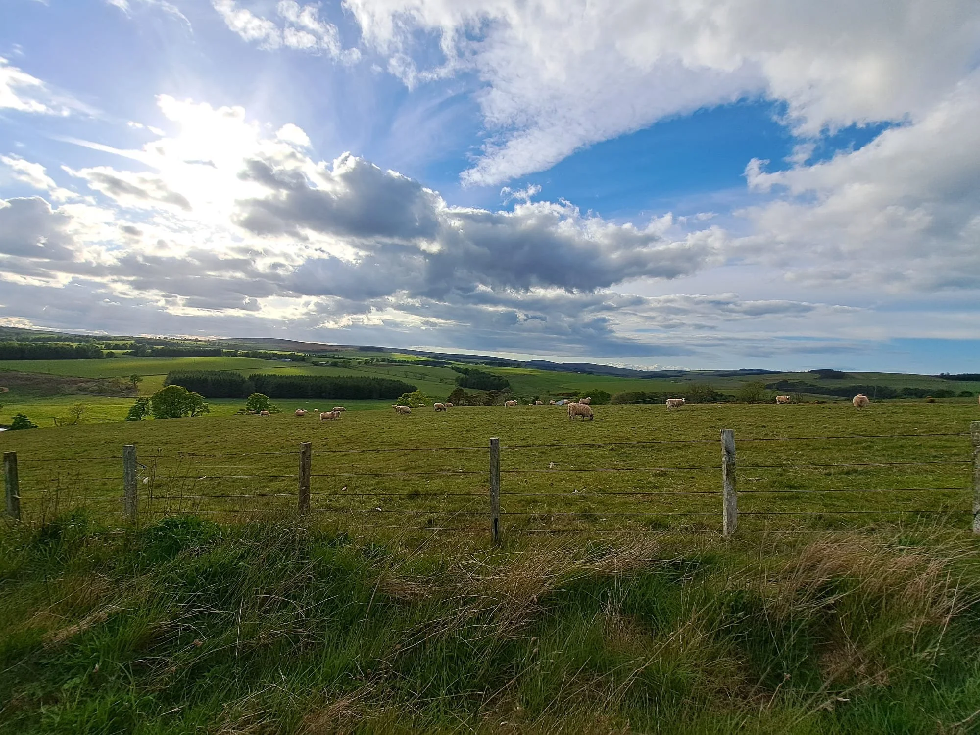 WhatsApp Image 2025-06-10 at 11.17.21_76e777e0.jpg