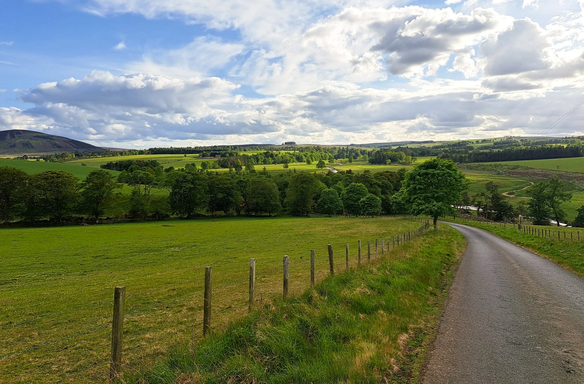 WhatsApp Image 2025-06-10 at 11.17.20_7bdb88d4-2.jpg