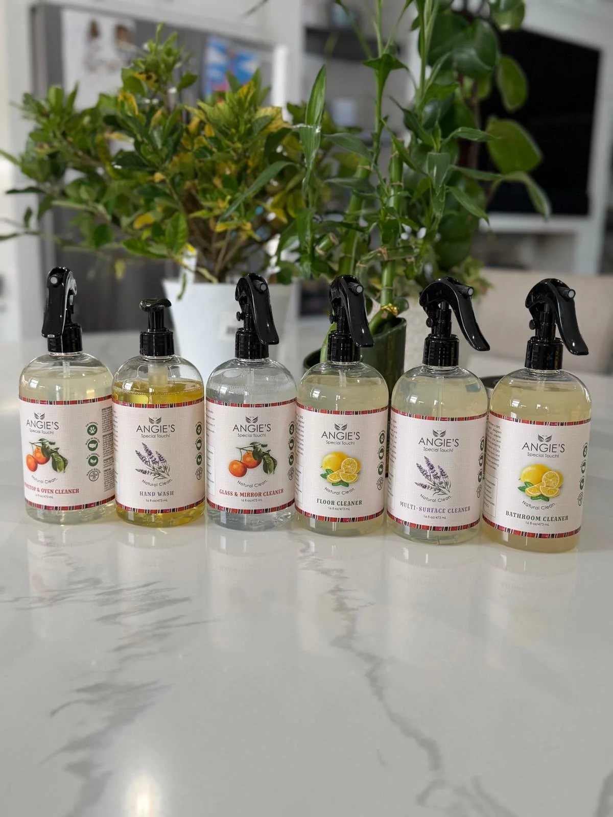 Collection Angie's, WhatsApp.jpg