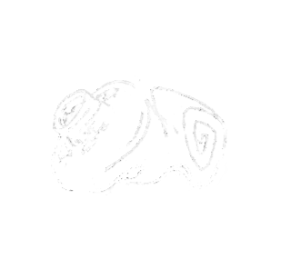 Sketch of a paint tube rolled up and almost empty