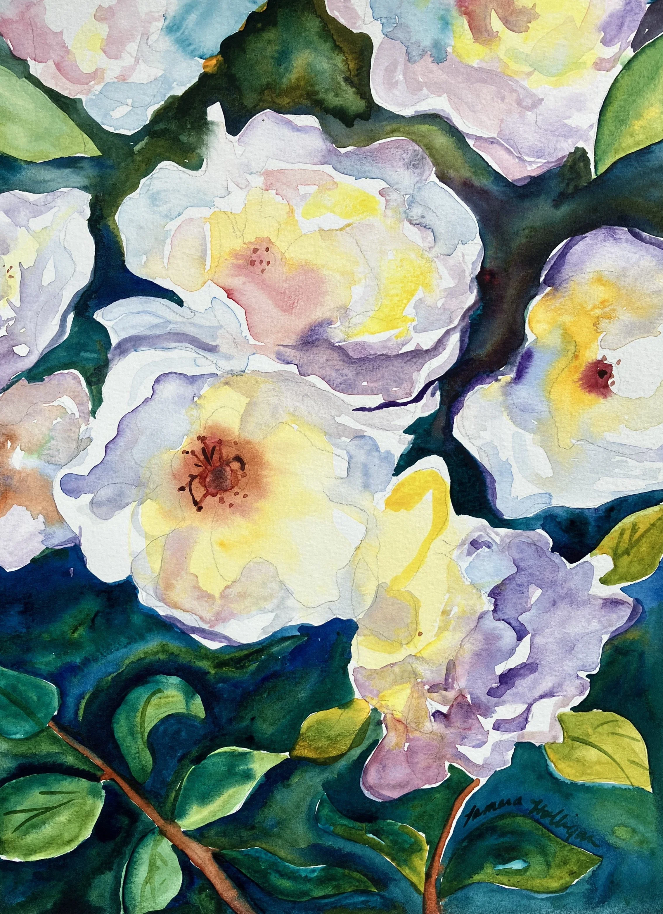 Wild Roses