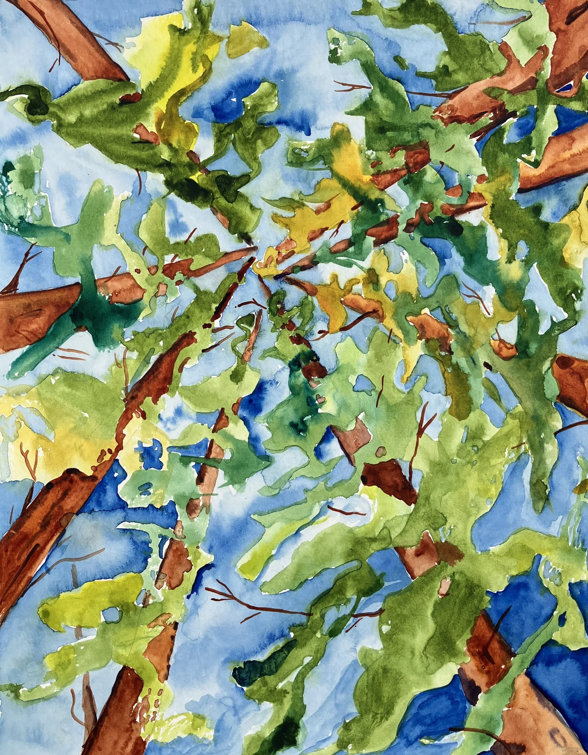 Sky Trees