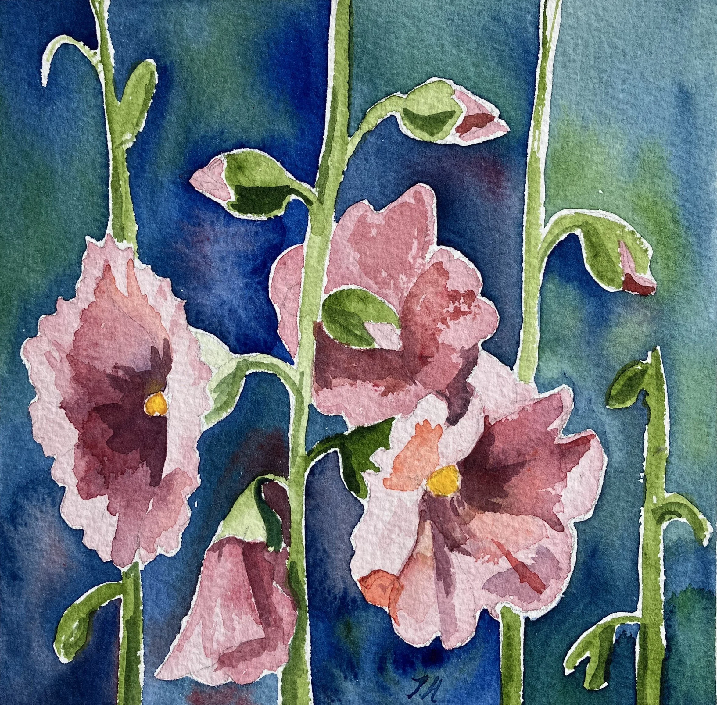 Hollyhocks