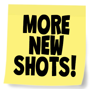 Yellow background with bold black text reading 'MORE NEW SHOTS!'