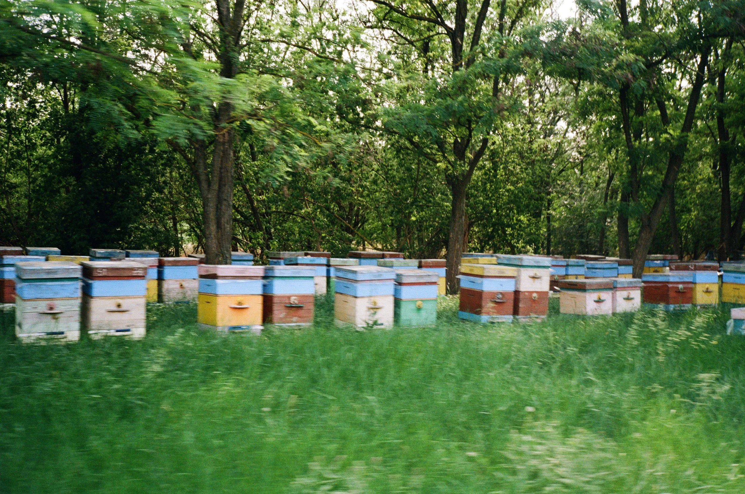 011228120035 copy.jpg