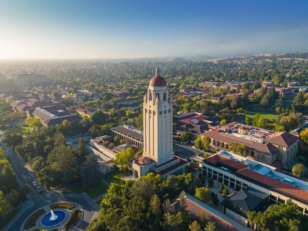 Professional Nanny in Palo Alto