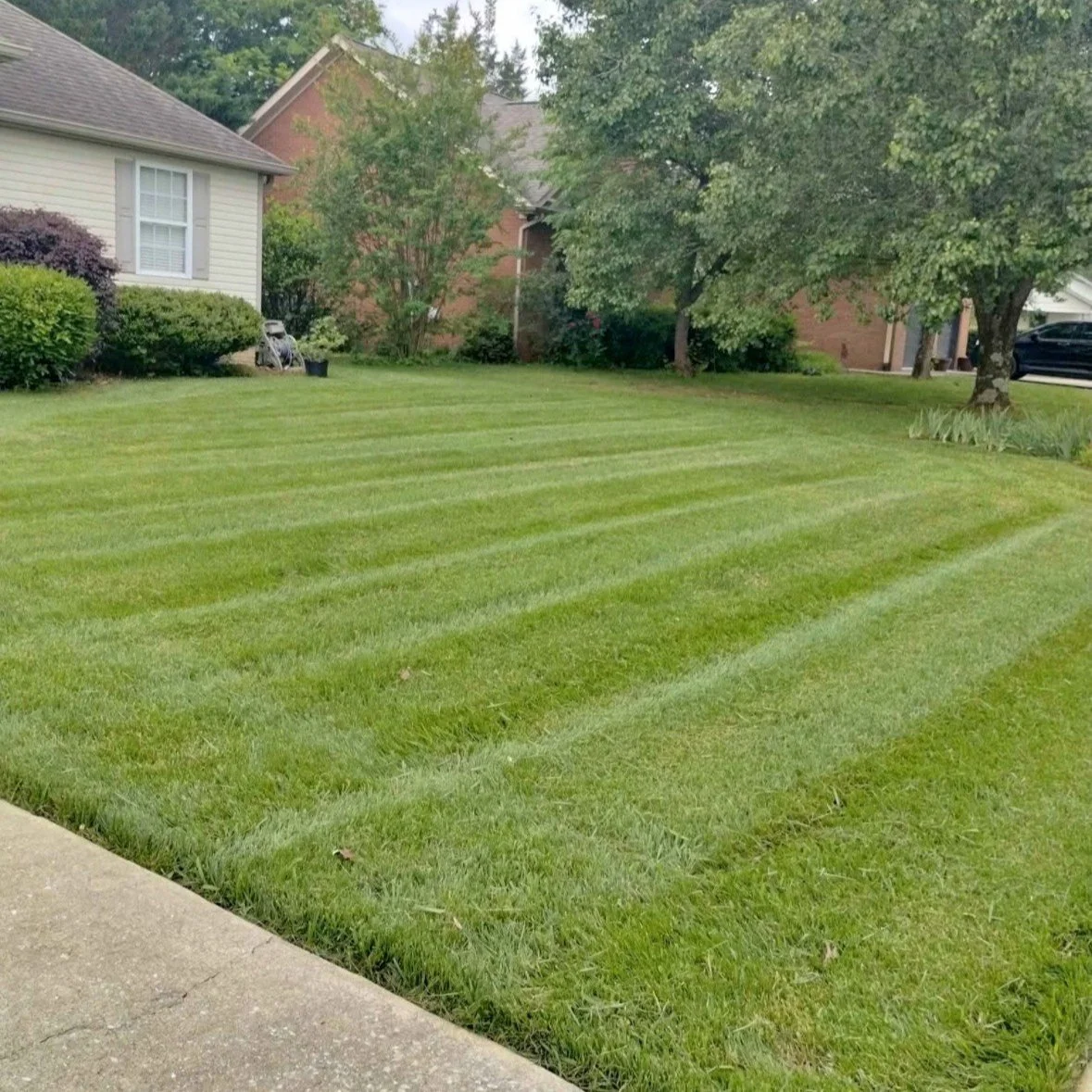 A well-maintained lawn with evenly cut grass in a suburban neighborhood, with trees, bushes, two houses, and a black car in the background.