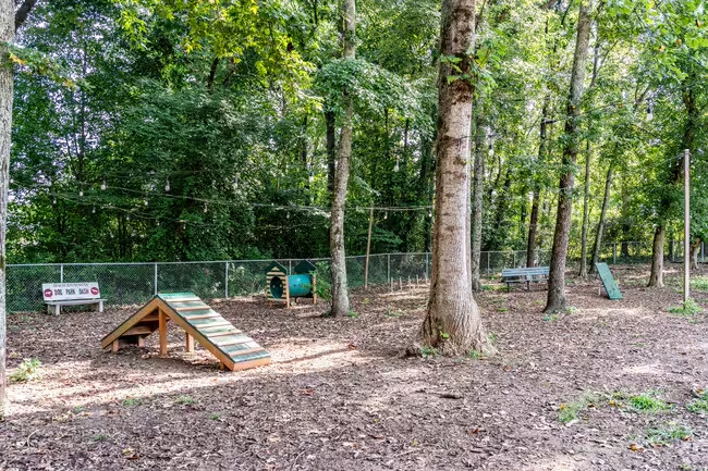 Dog agility training area outdoors with ramps, tunnel, and benches surrounded by trees.