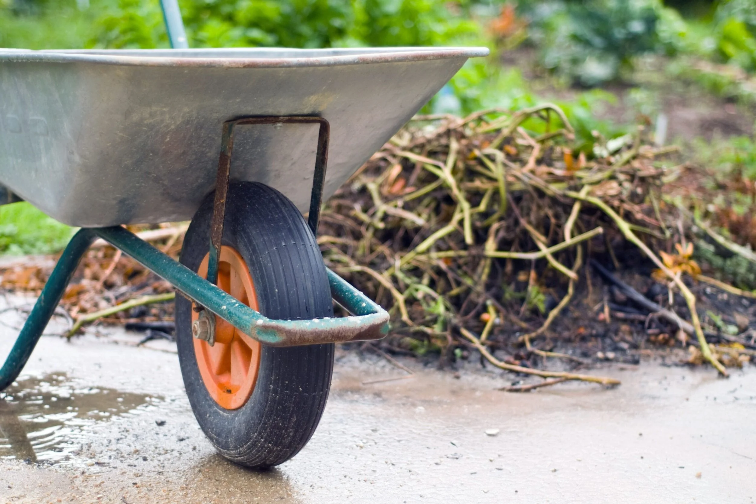 A wheelbarrow with a black and orange wheel on a concrete surface, with a pile of yard debris and plants in the background.