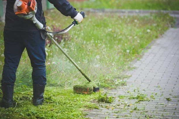 Person trimming grass along a paved sidewalk using a string trimmer.