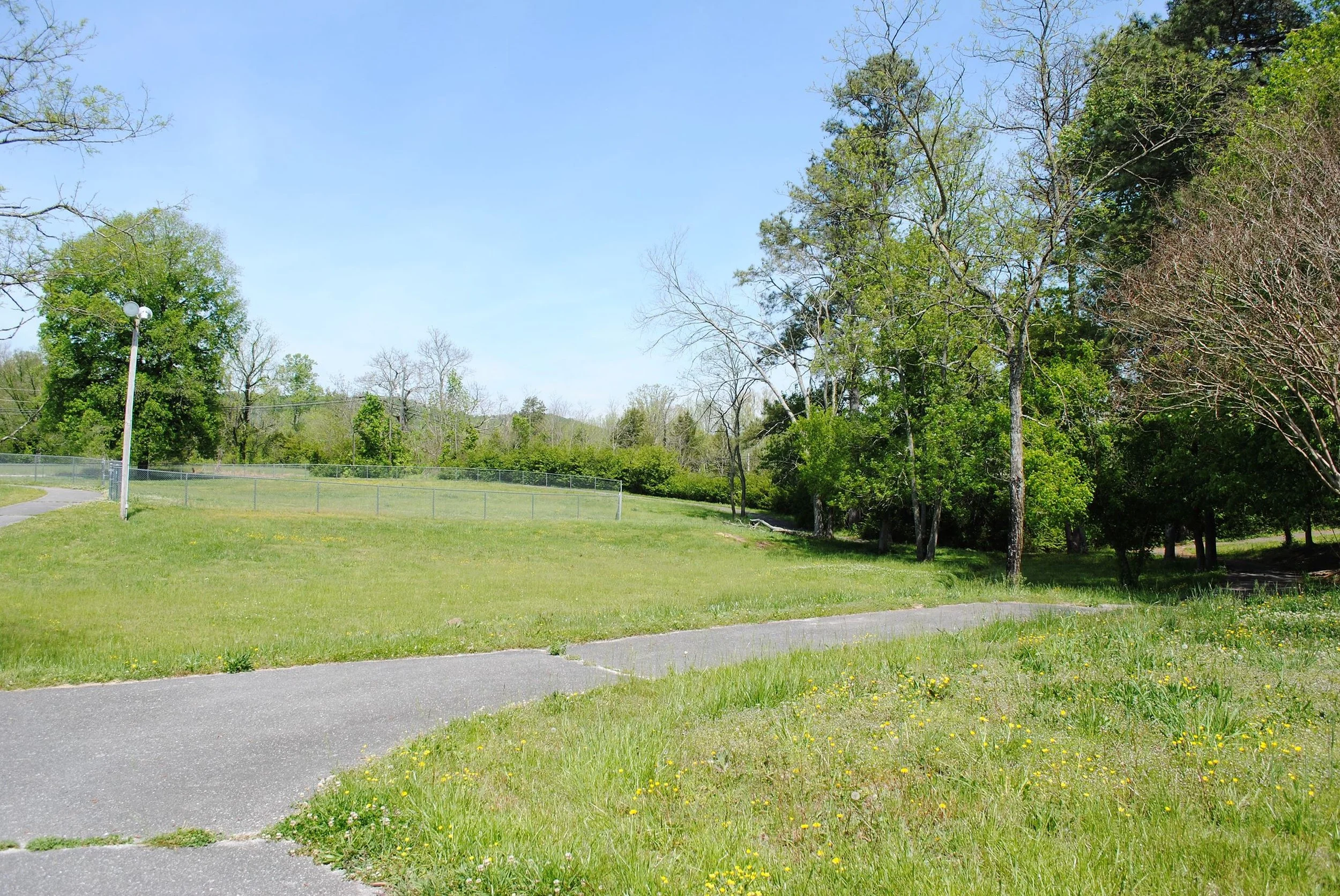 A grassy park with paved walkways, trees with green leaves, a fence, and a lamppost under a clear blue sky.