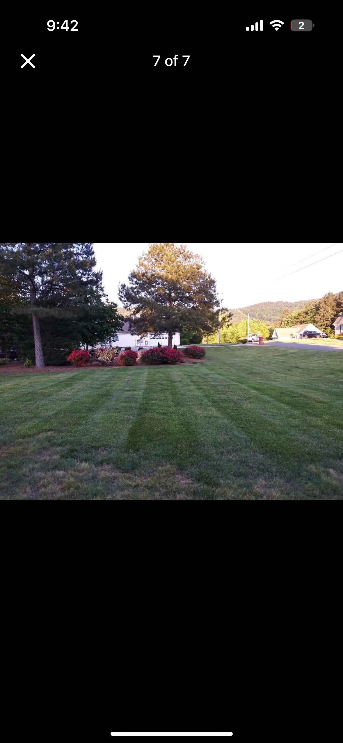 A well-maintained grassy lawn with alternating light and dark green stripes, bordered by trees and shrubs, with a house and cars visible in the background.