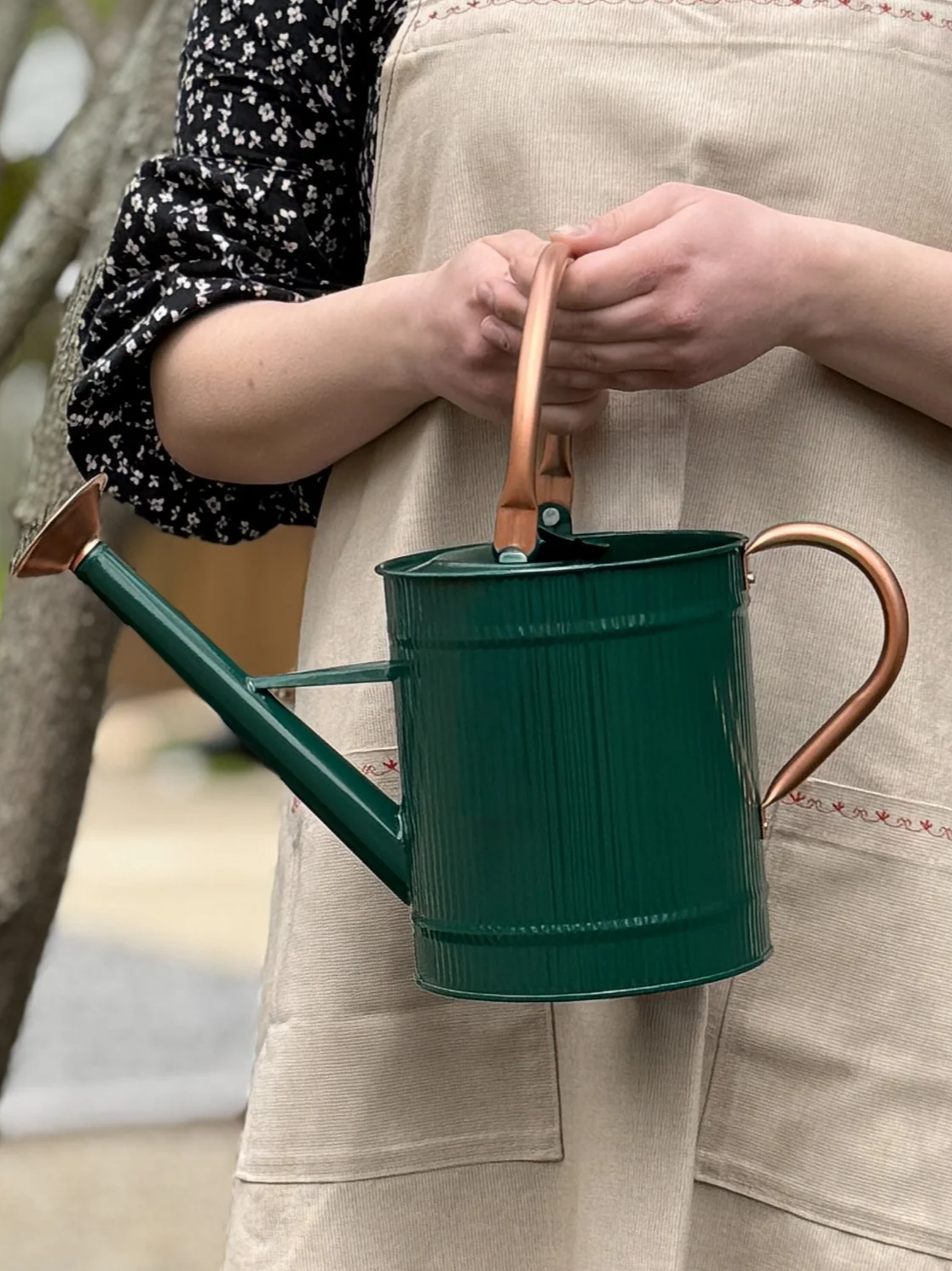 Painted Tin Watering Can