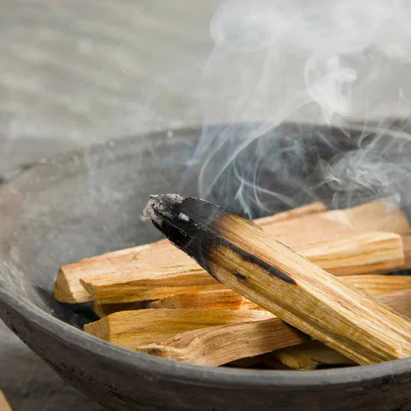 palo santo 1.webp