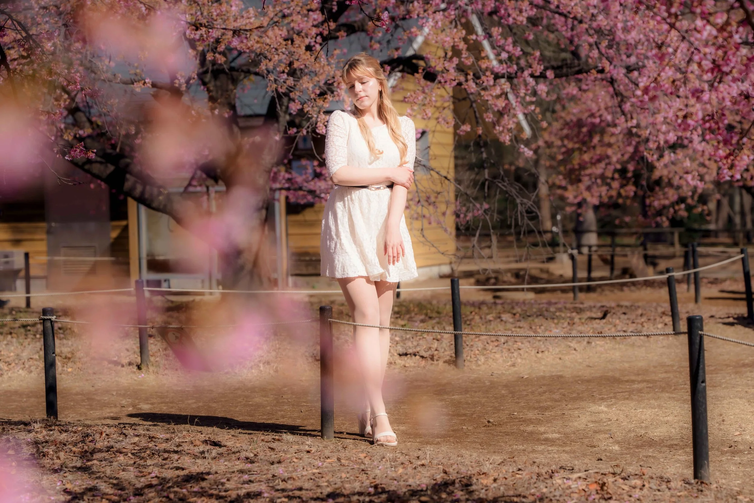 What to Wear for a Cherry Blossom Photoshoot in Japan | Couple &amp; Family Photoshoots in Tokyo