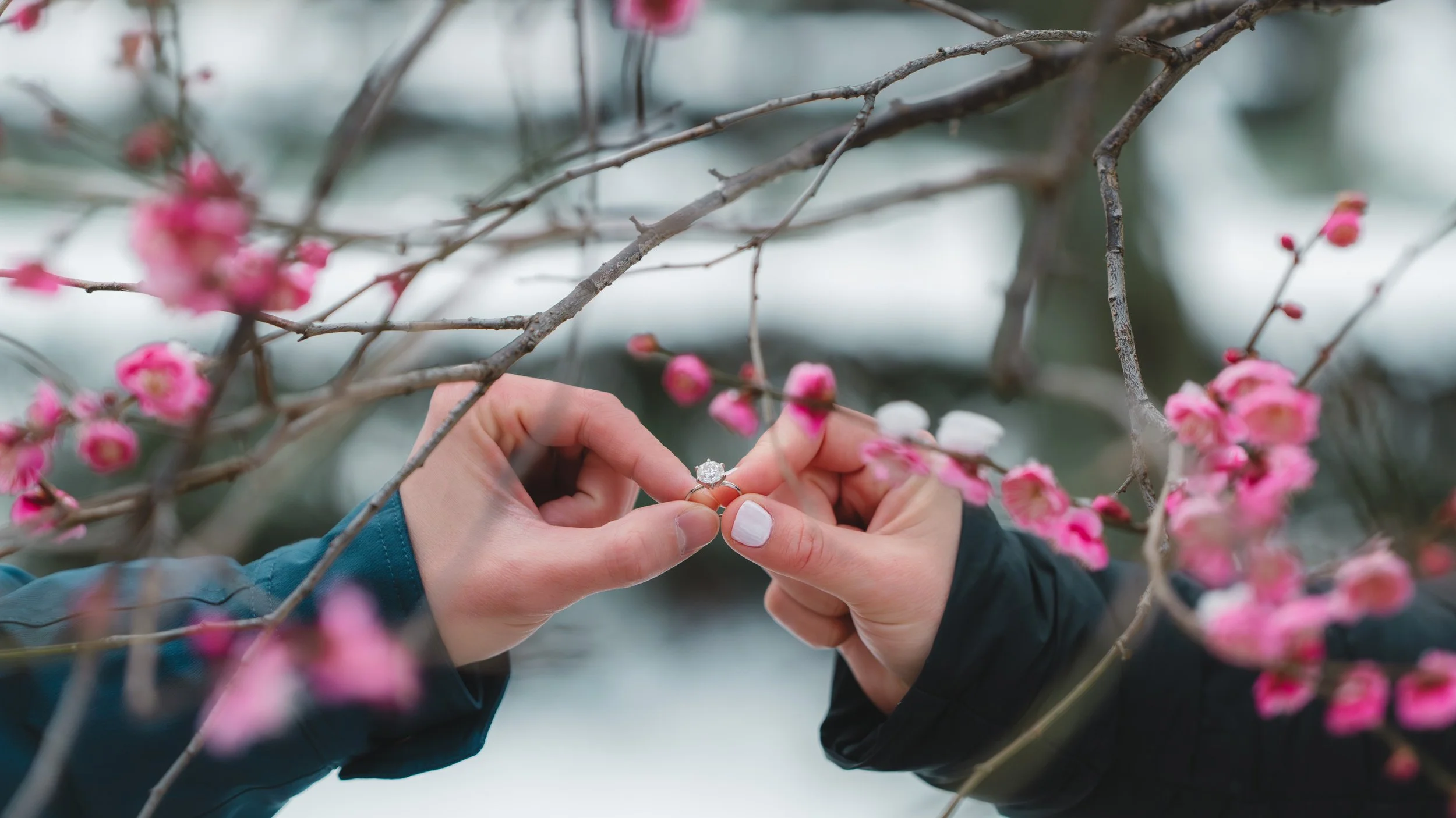 An absolute surprise proposal during Spring in Japan with a Tokyo photographer