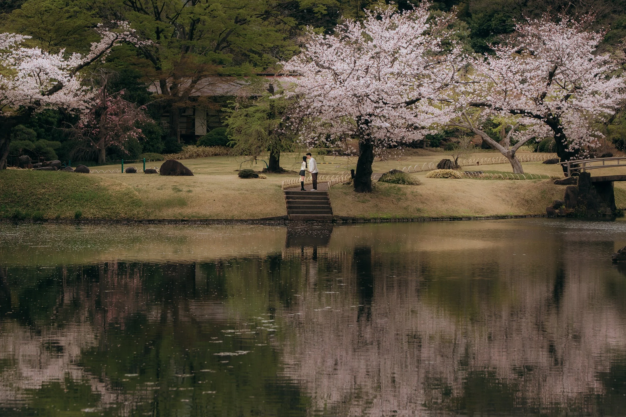 Bao and Shannon proposal in Tokyo park sakura lake couple is happy and serene