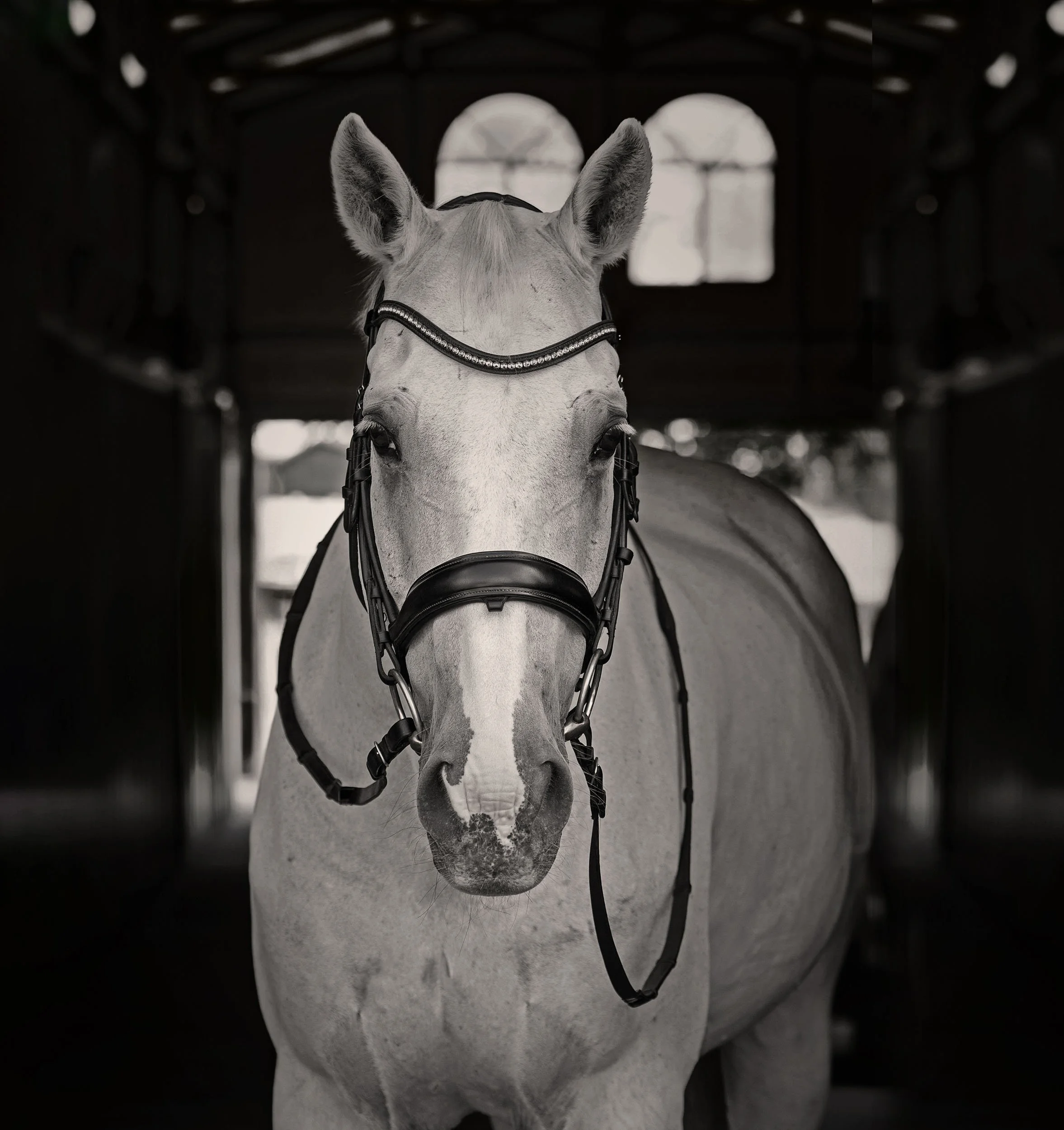 BW-004.jpg
