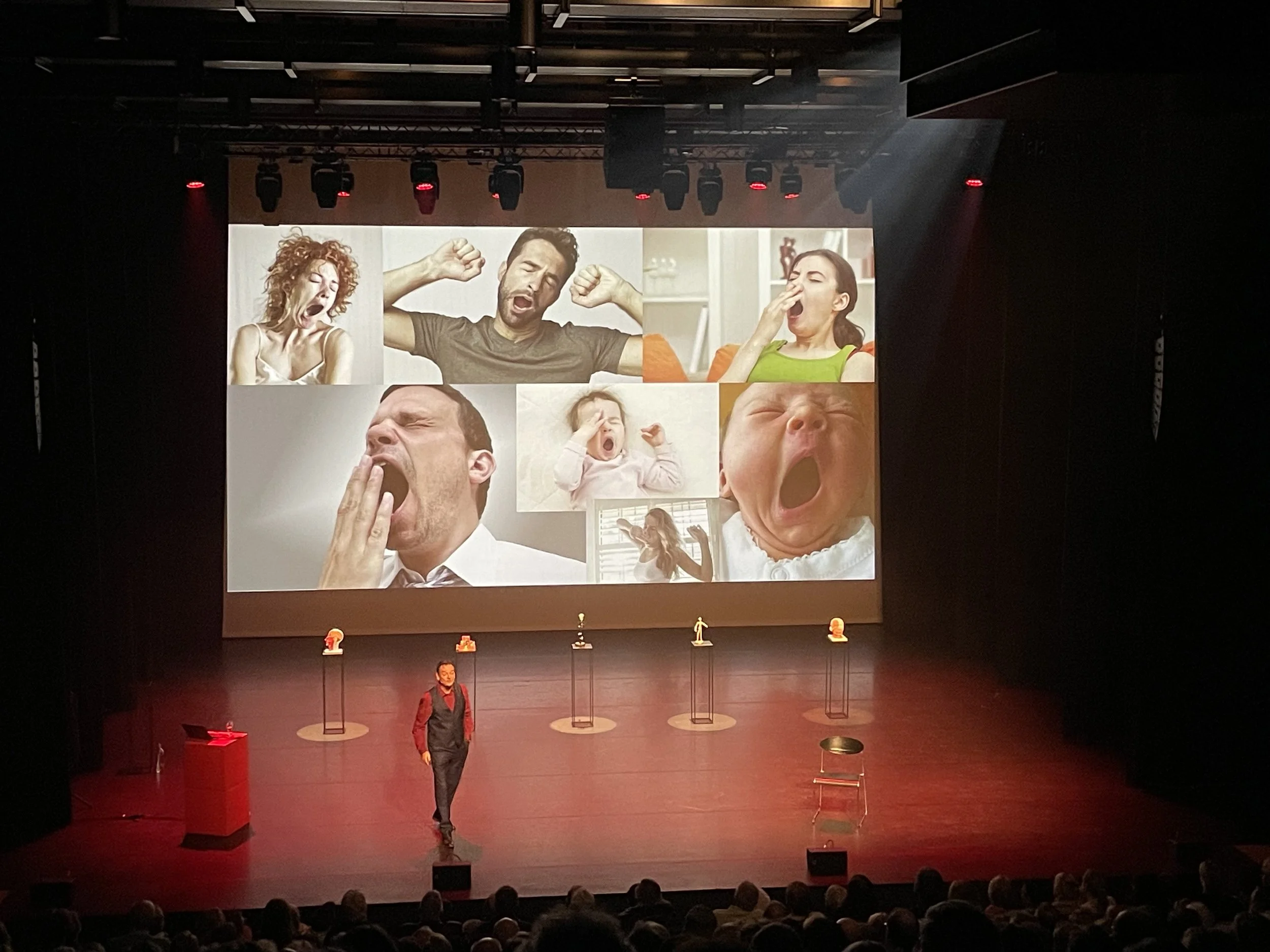 Yann Van den Branden - De leugendetective