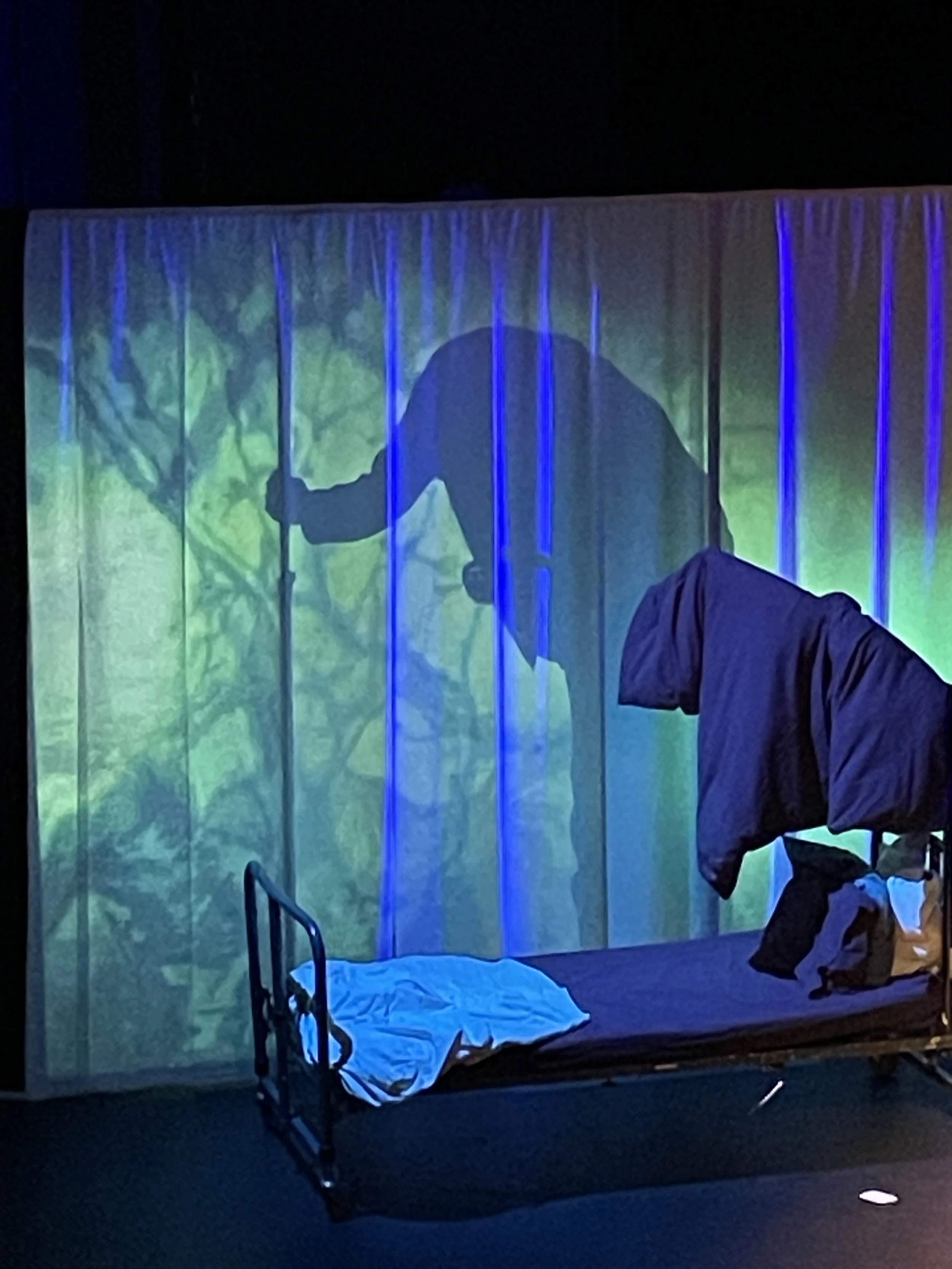 Don Quichote - Johan De Paepe