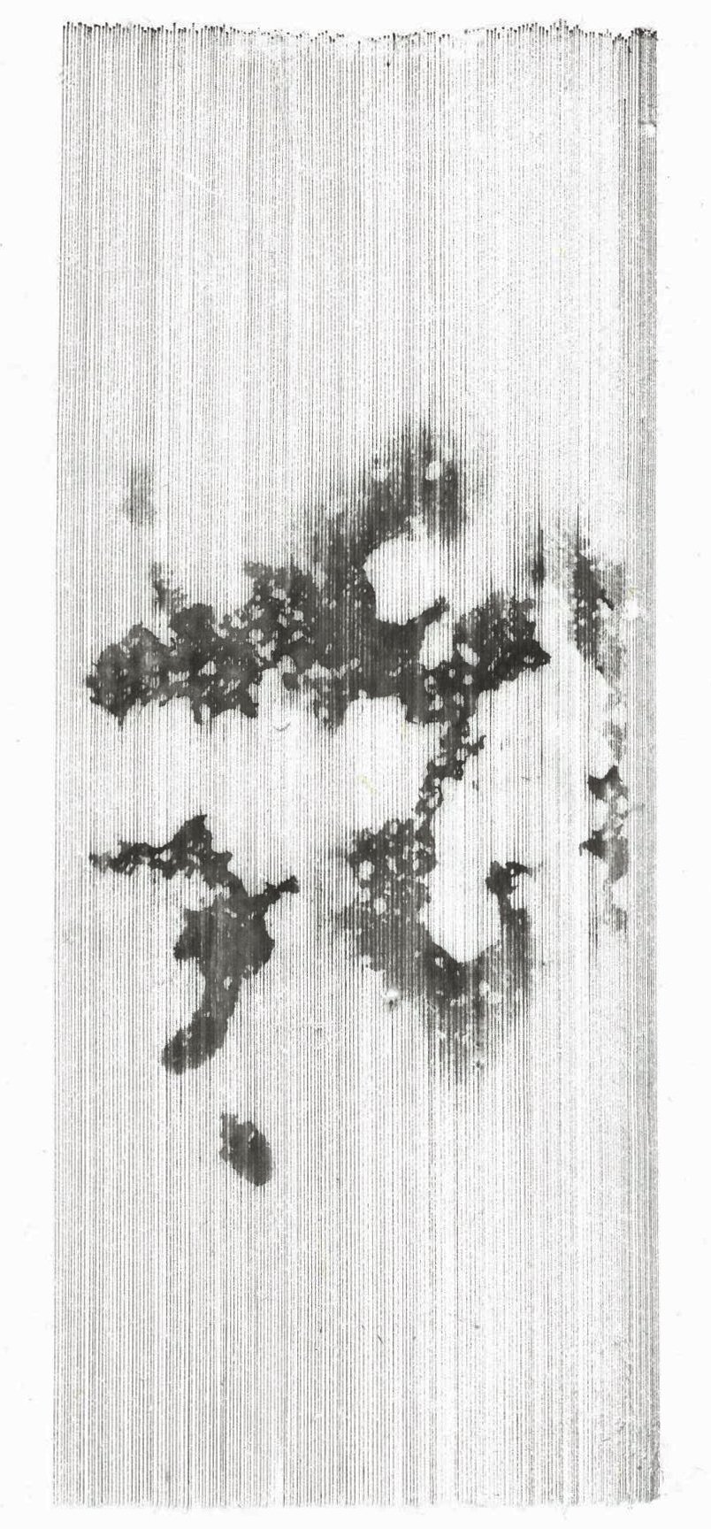 33x14cm - Ink on Xuan Paper - 2022