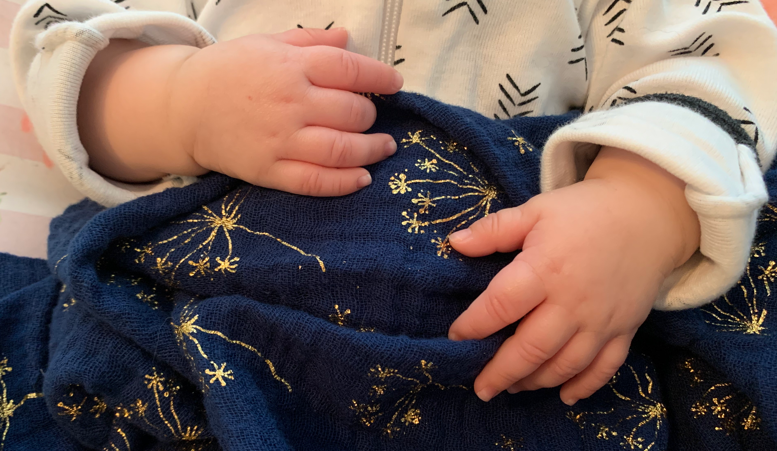 This Thanksgiving, I'm Grateful for Science