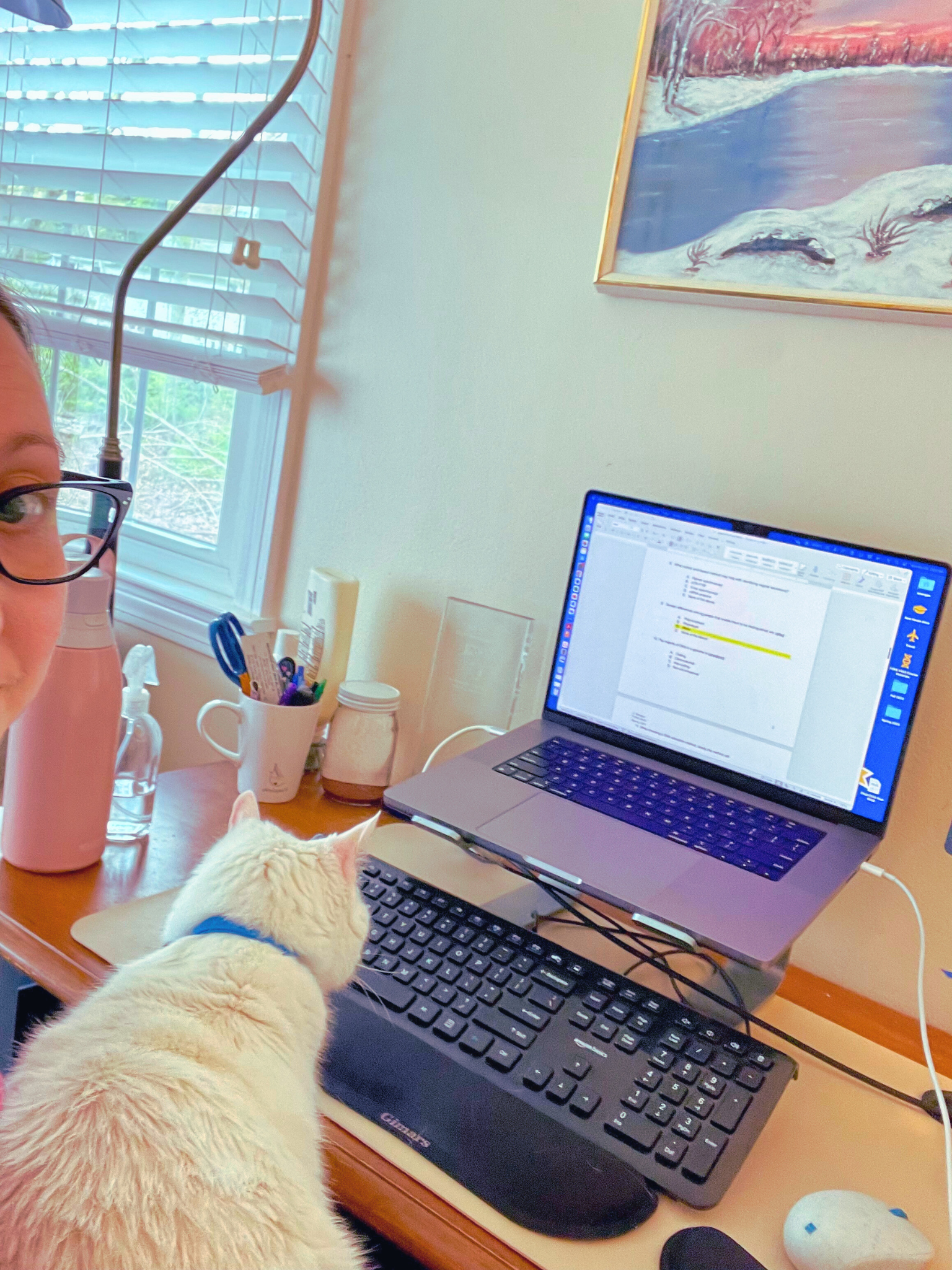 Home office desk with a person, a white cat, a computer monitor, a keyboard, and office supplies. A window with blinds, some paintings, and a lamp are visible.