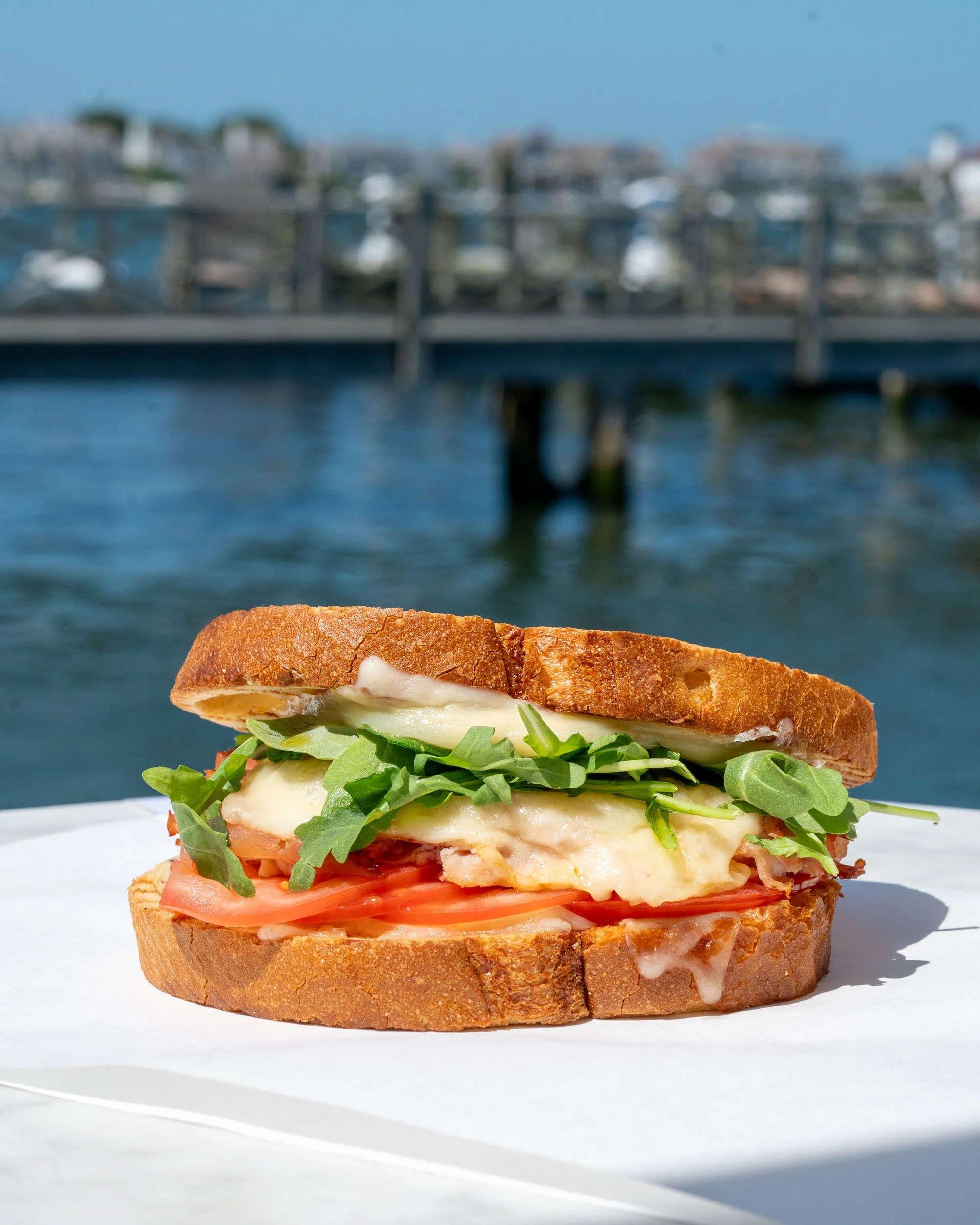 bagelBar_HamandCheesePanini_Waterfront_PhotoCred_WendyMillsPhotography.jpg