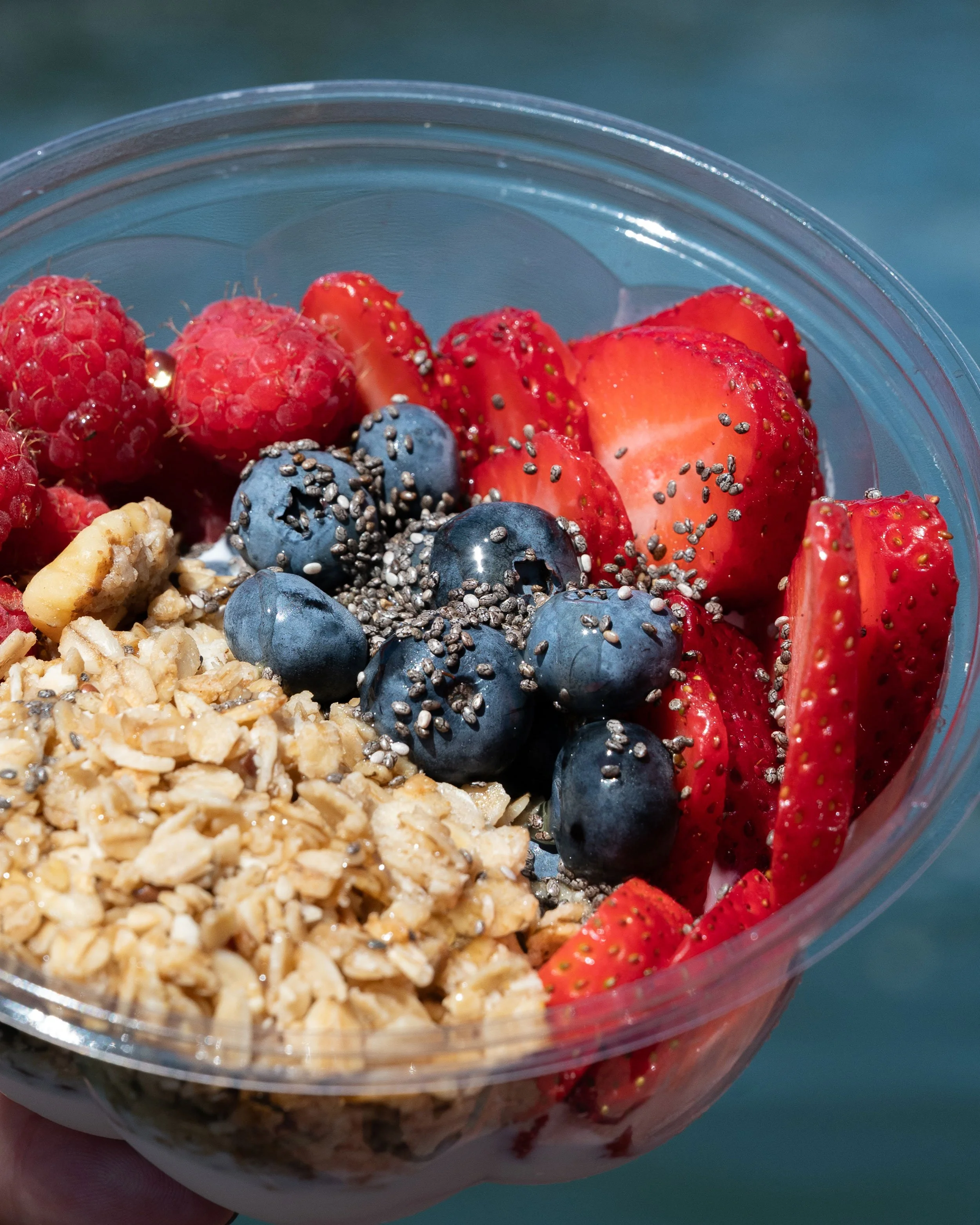 bagelBar_GranolaBowl_PhotoCred_WendyMillsPhotographyweb.jpg