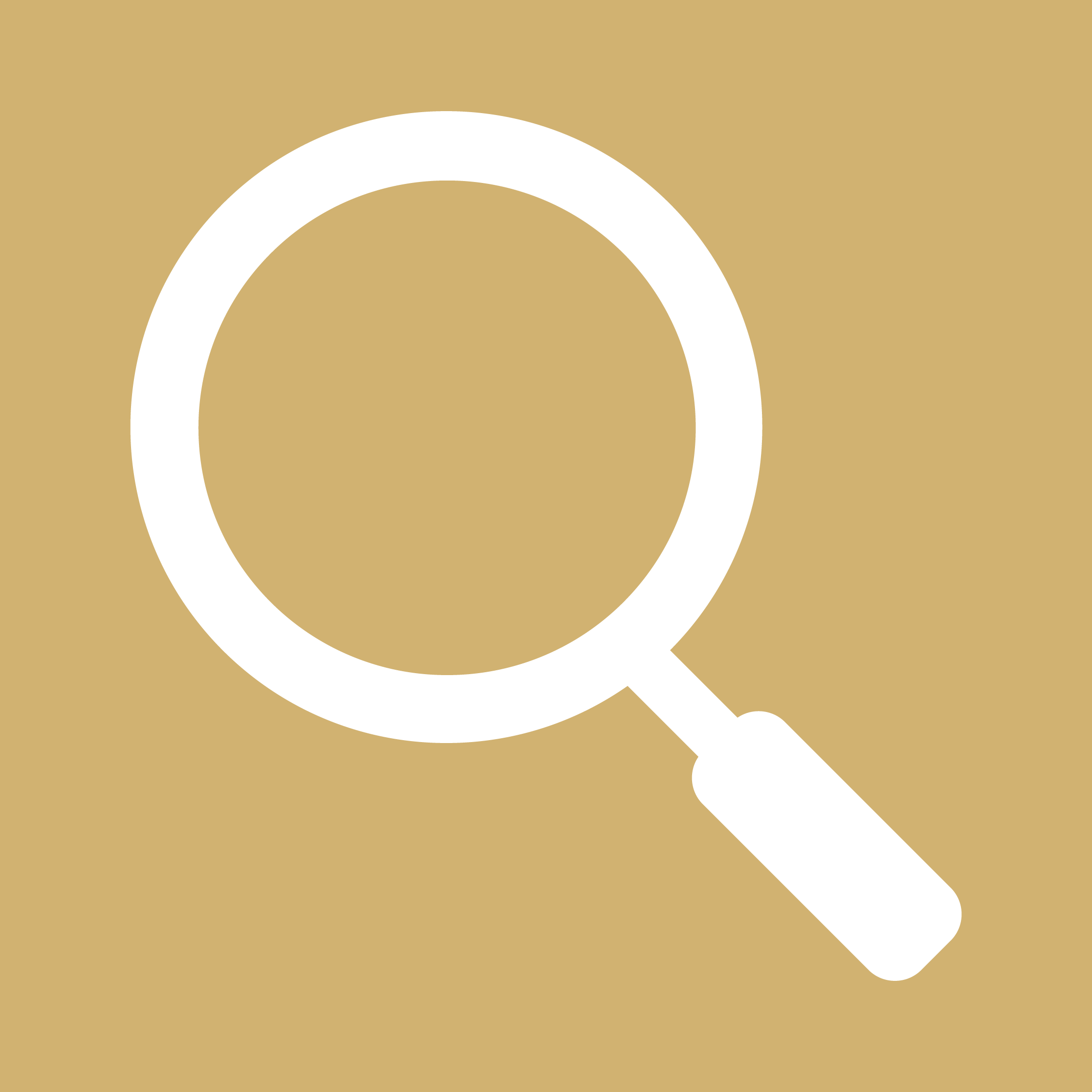 Magnifying glass icon