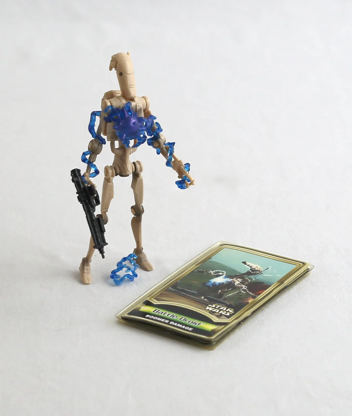 1N5A1621.JPG