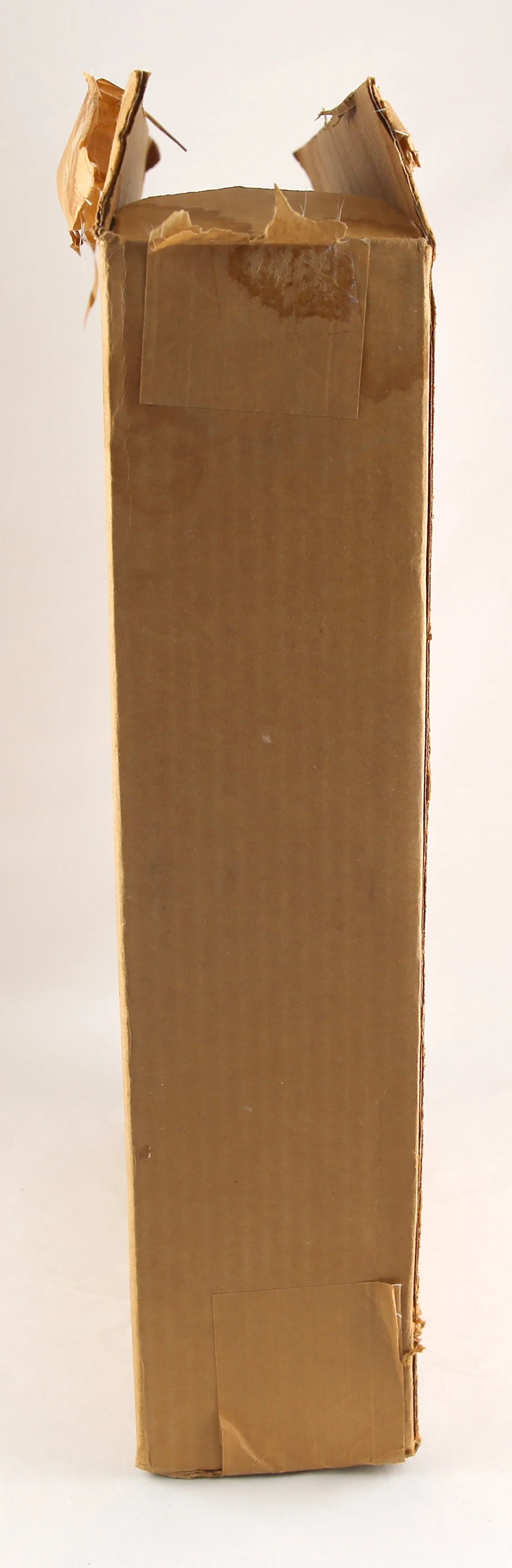 1N5A9993.JPG