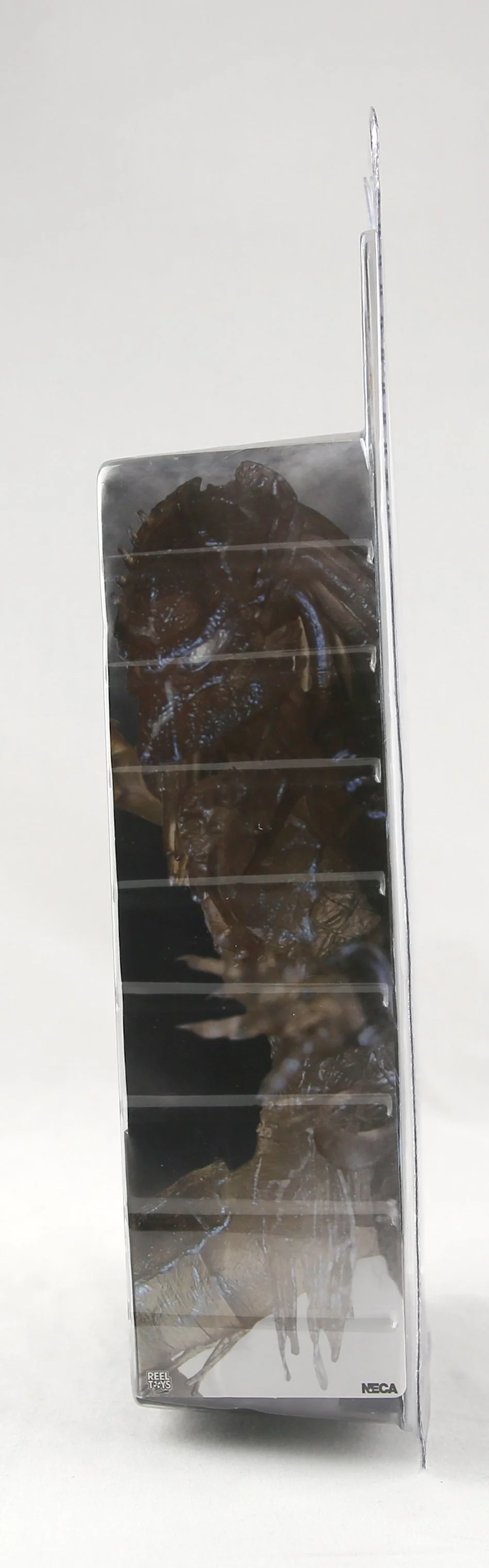 1N5A1920.JPG