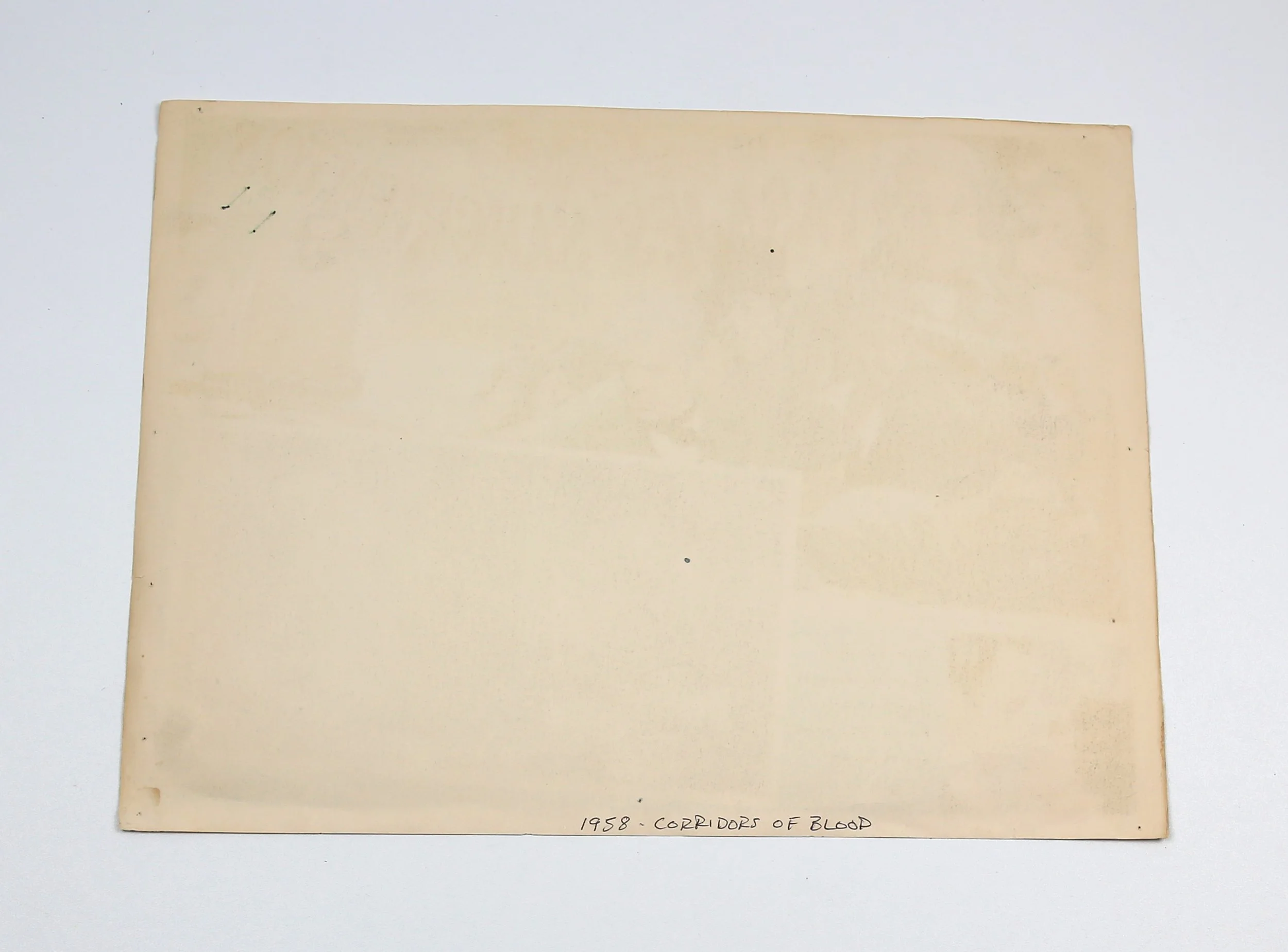 1N5A8156.JPG
