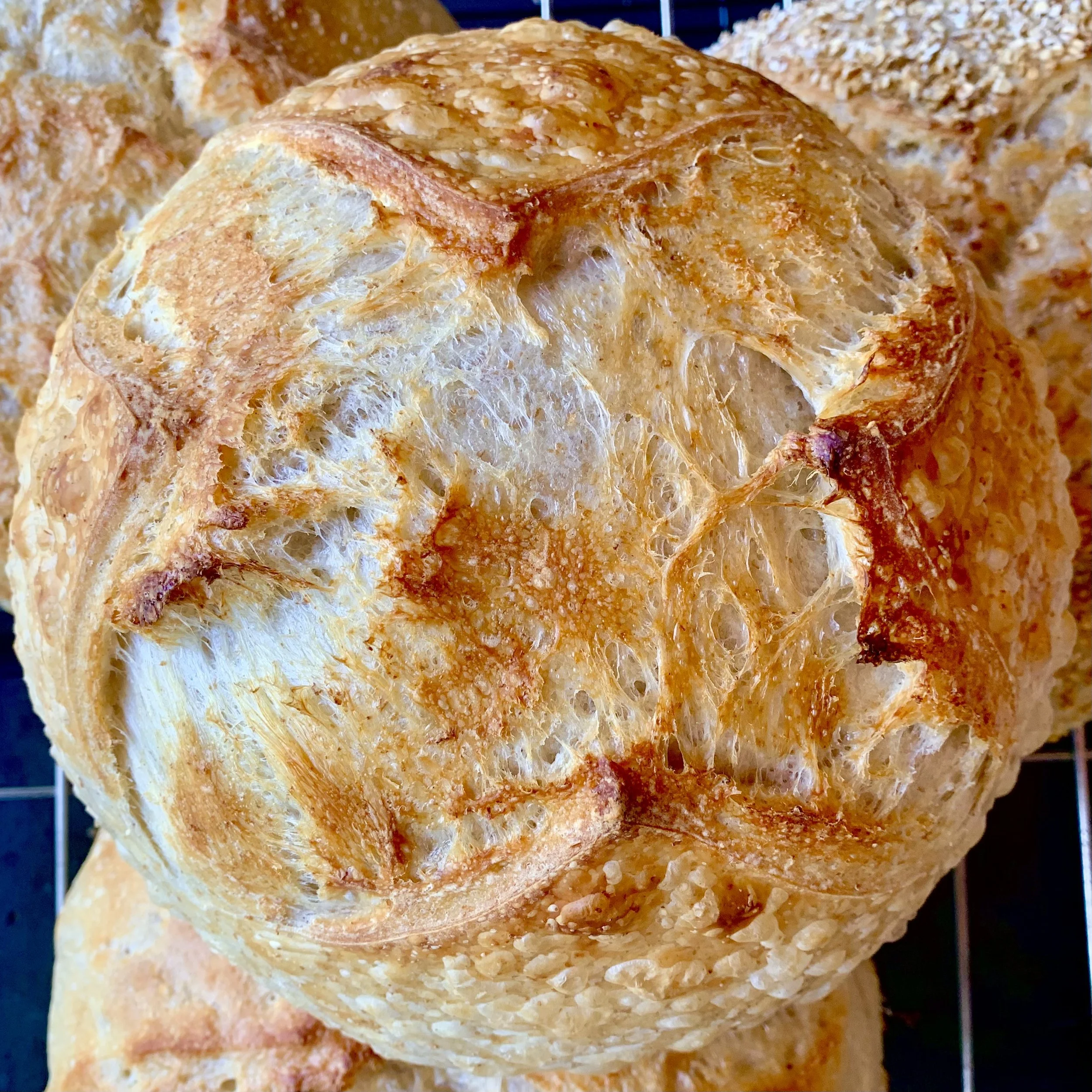 Whole Wheat Sourdough