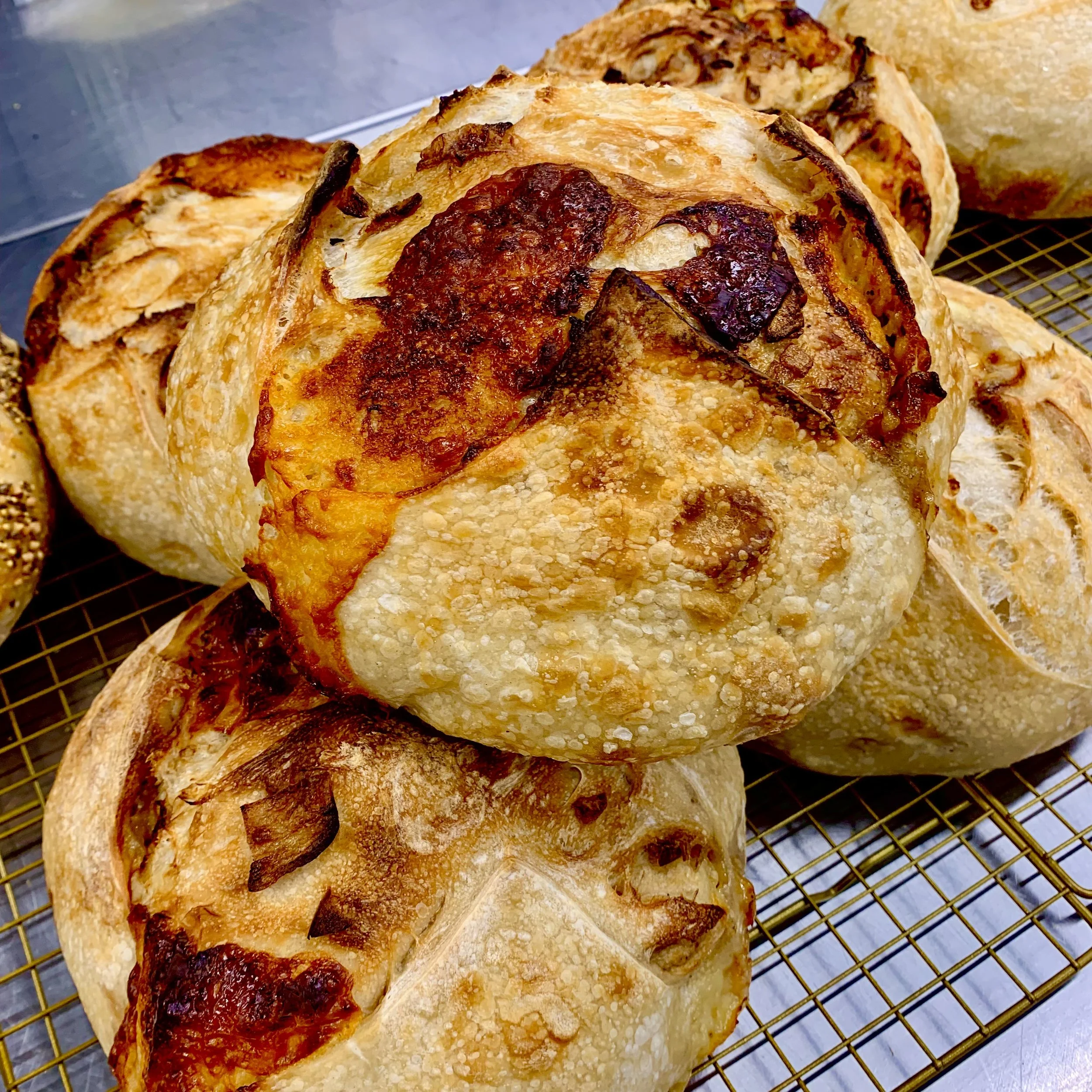 Caramelized Onion & Smoked Cheddar Sourdough