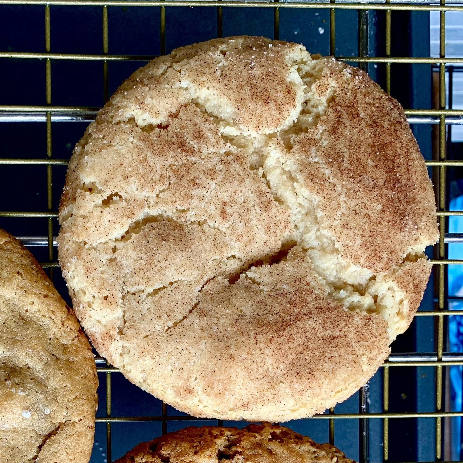 IMG_2073.jpeg (Copy)