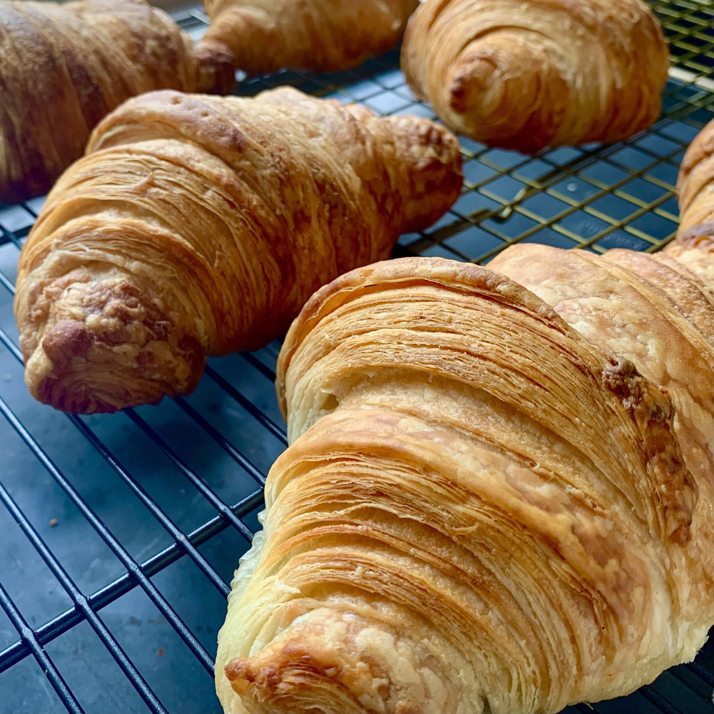 Plain Croissants (6)