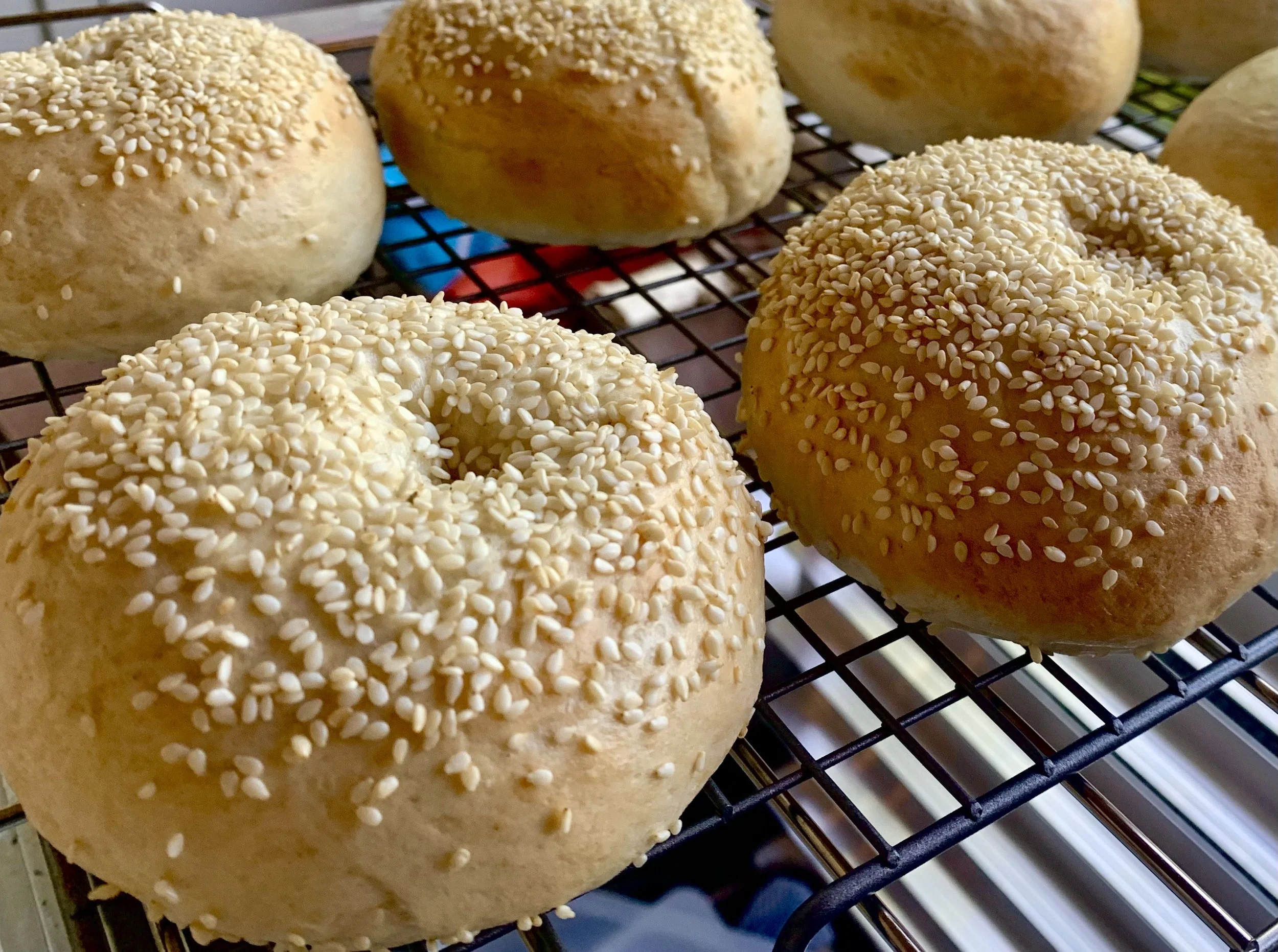 Sesame Bagels (4)