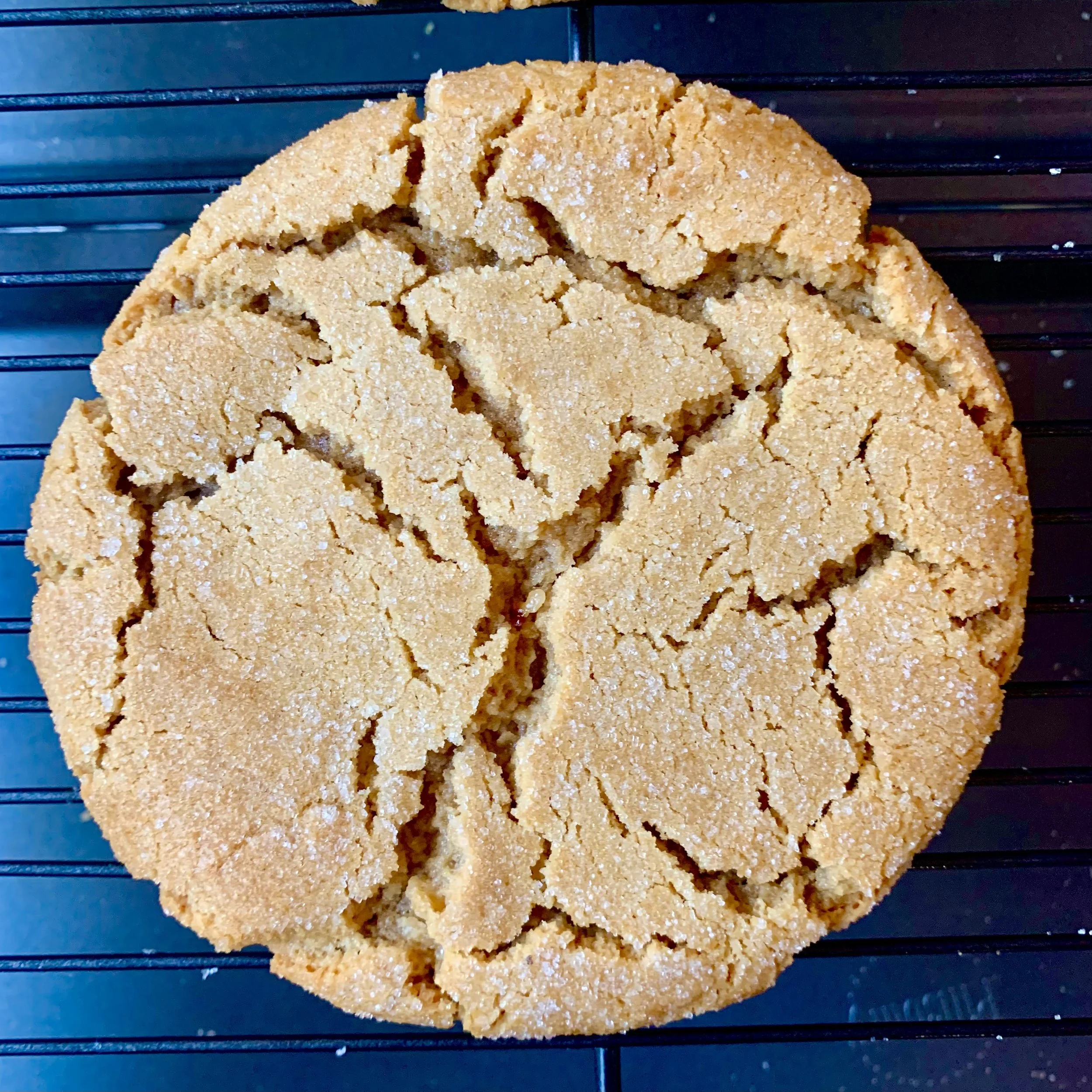 Classic Peanut Butter Cookies (6)