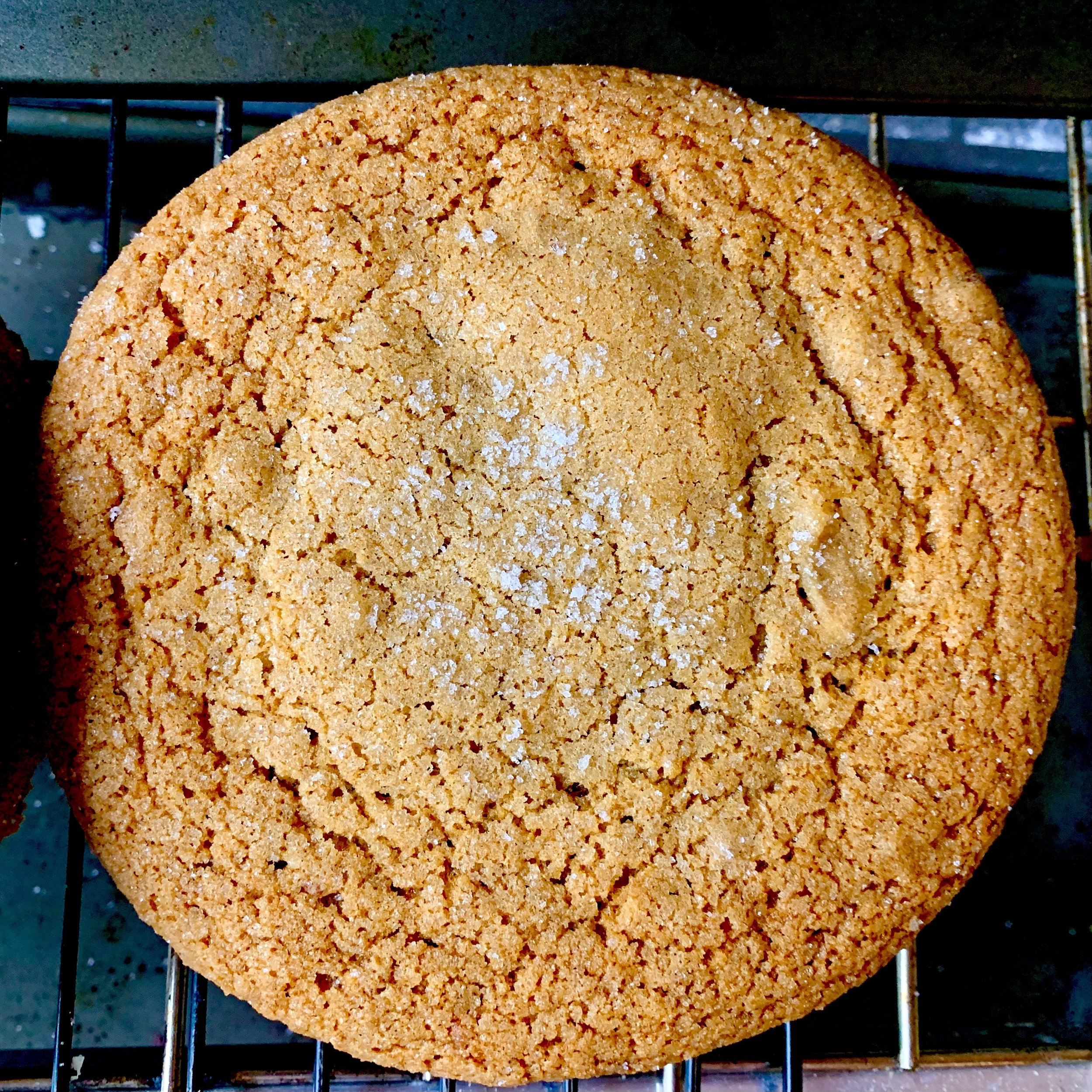 IMG_3630.jpeg (Copy)