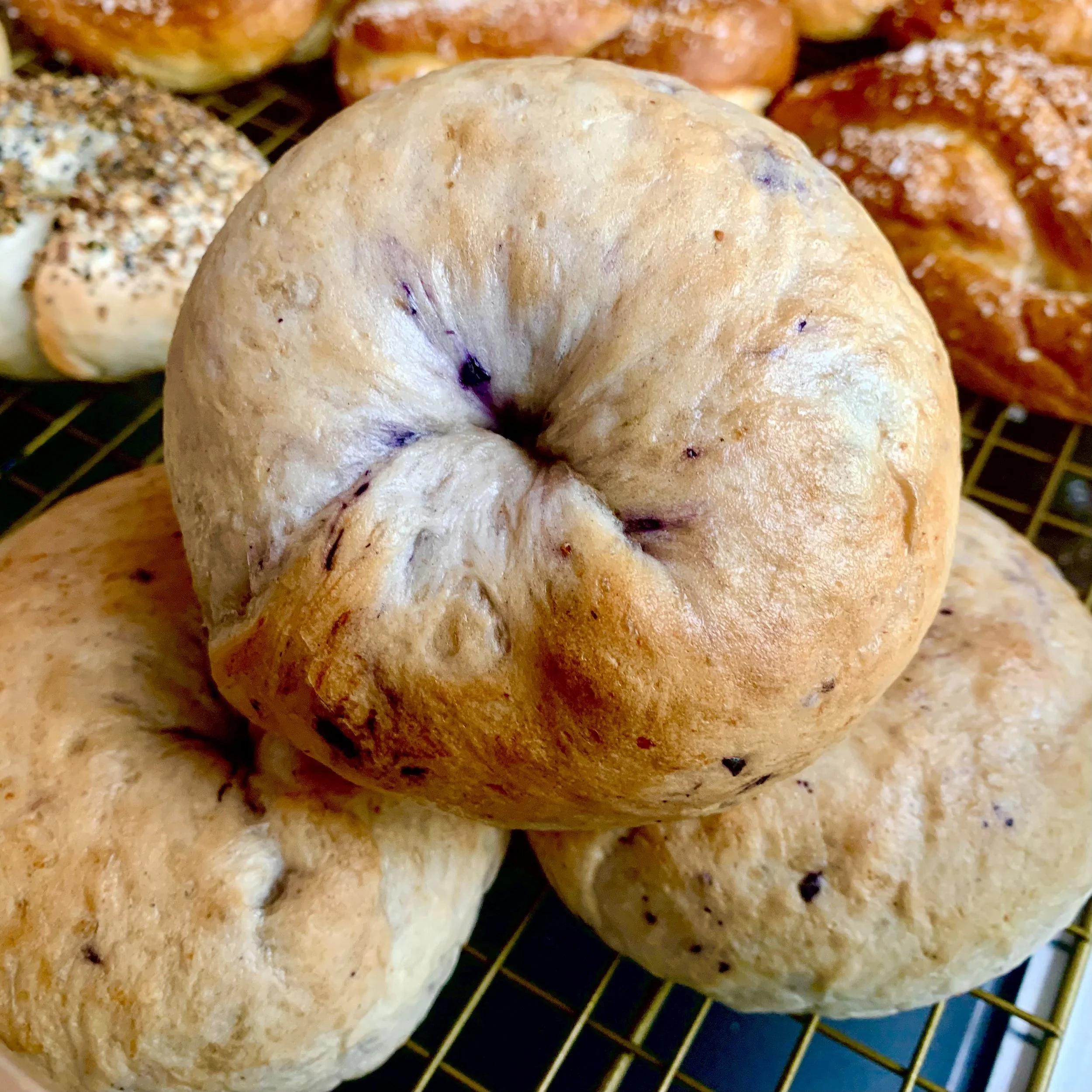 Blueberry Bagels (4)